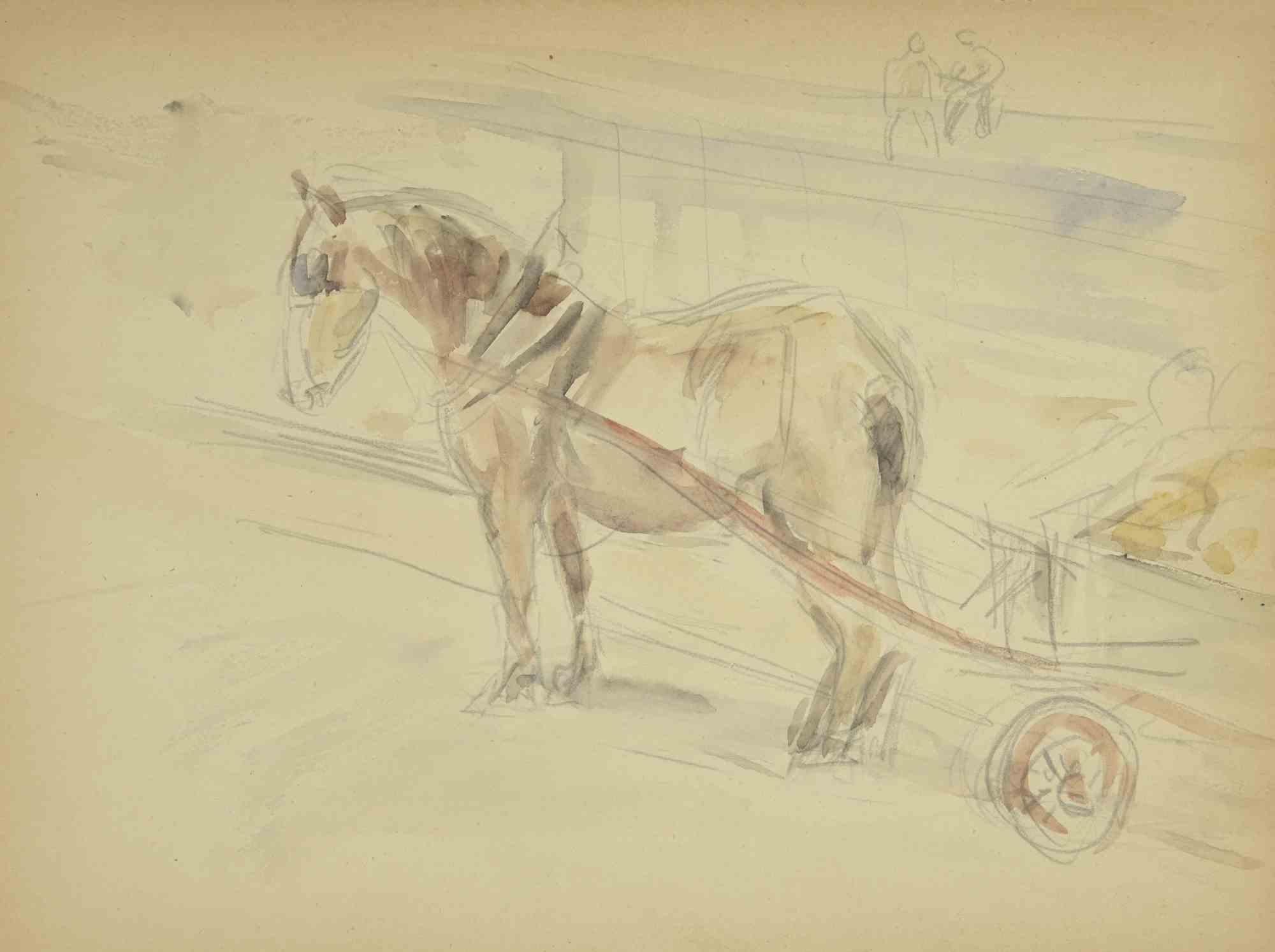 Horse - Drawing by Karl Hanny - 1935 ca.