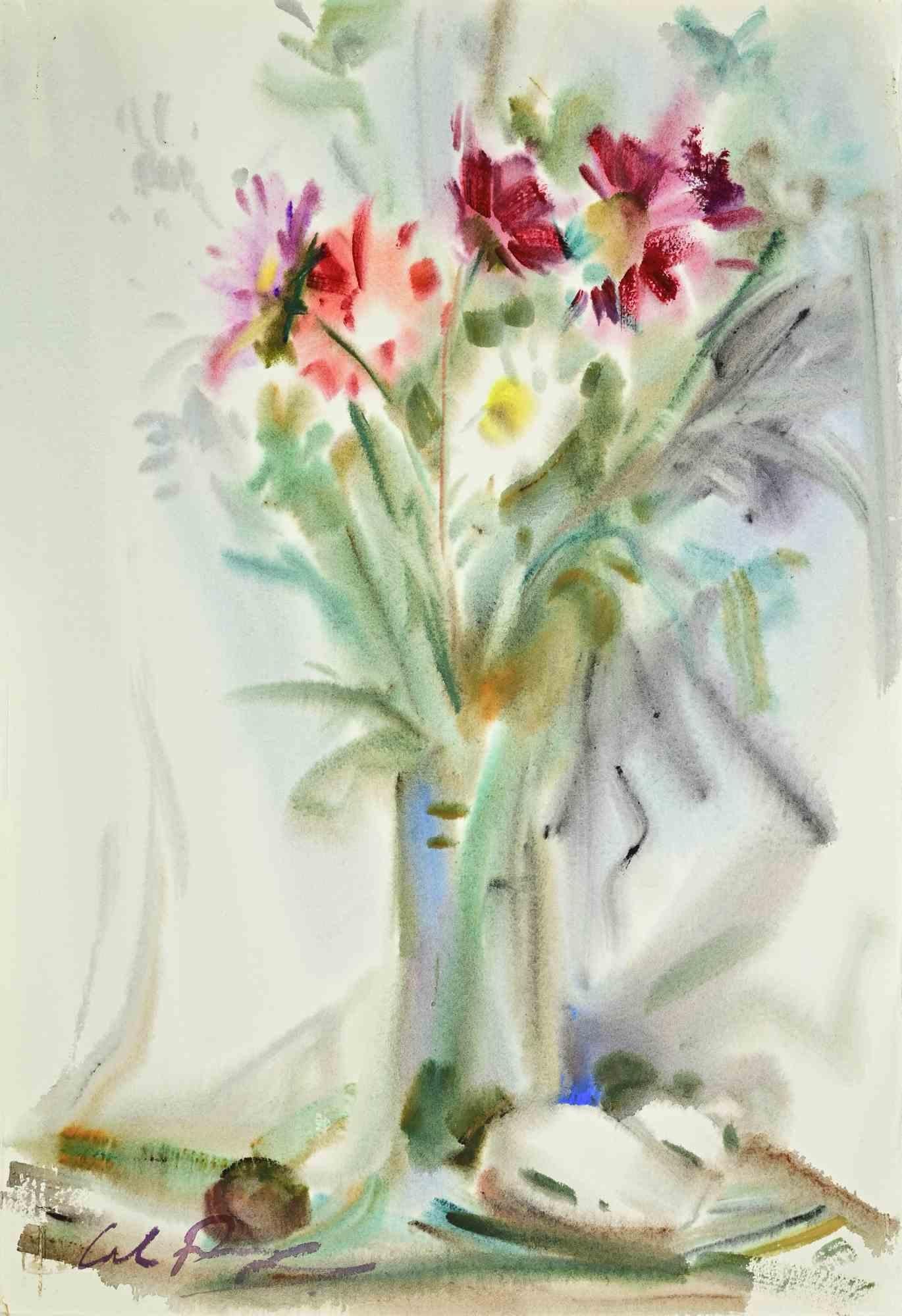 Plant Drawings and Watercolor Paintings