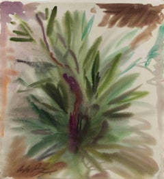 Planta - Dibujo de Carlo Ravagnan - Años 60