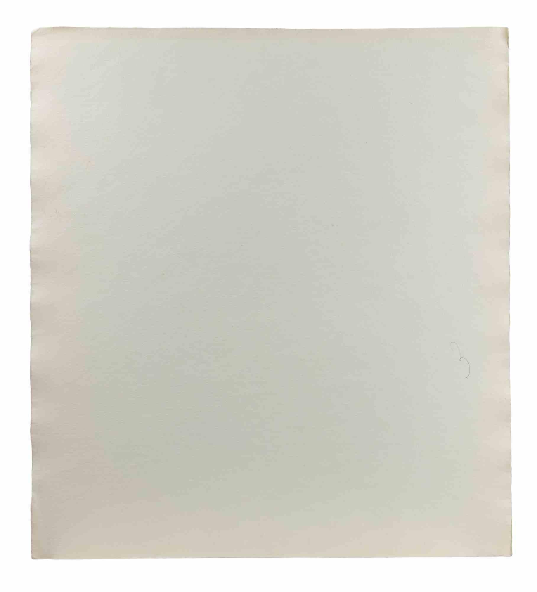 Plante - Dessin de Carlo Ravagnan - années 1960 en vente 1