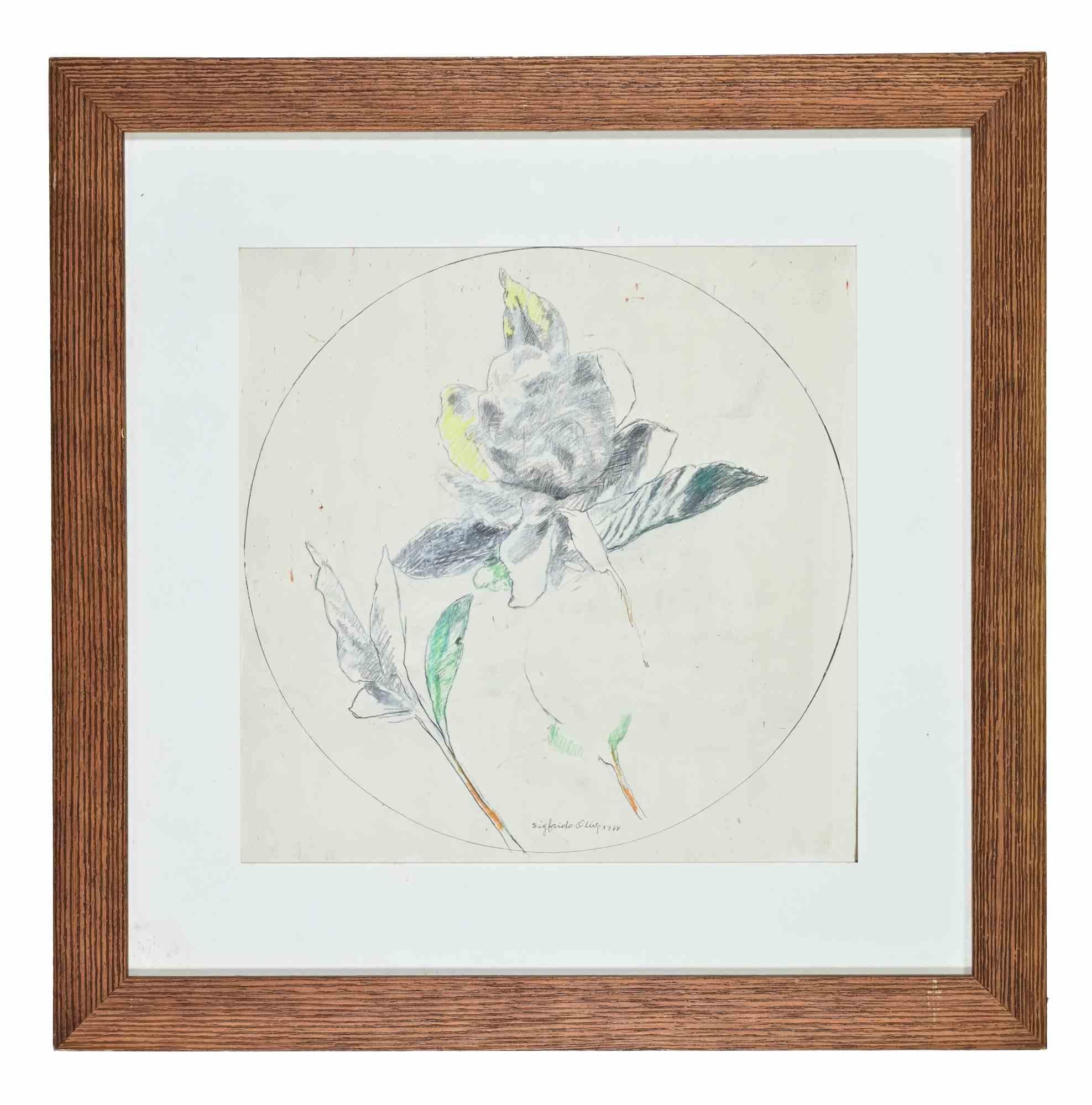 Natura morta - Disegno di Sigfrido Oliva - 1978 in vendita 1