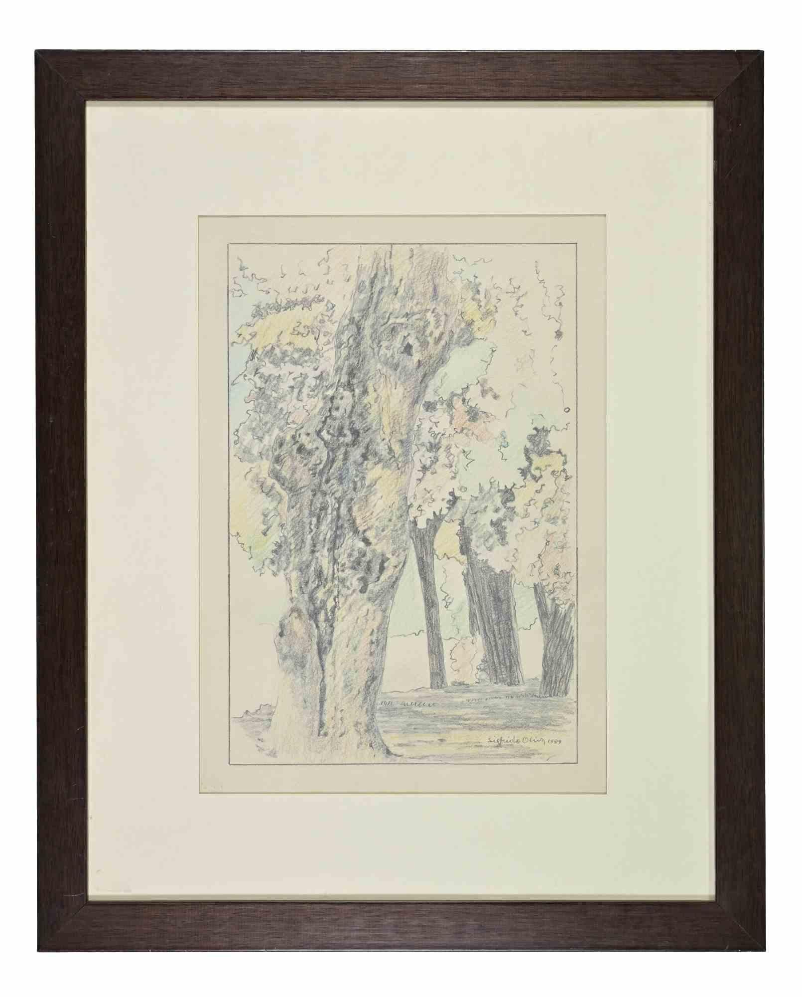 Disegno a matita e acquerello realizzato da Sigfrido Oliva.

Firmato a mano e datato.

Include una cornice contemporanea in legno di cm. 52.5x42.5.