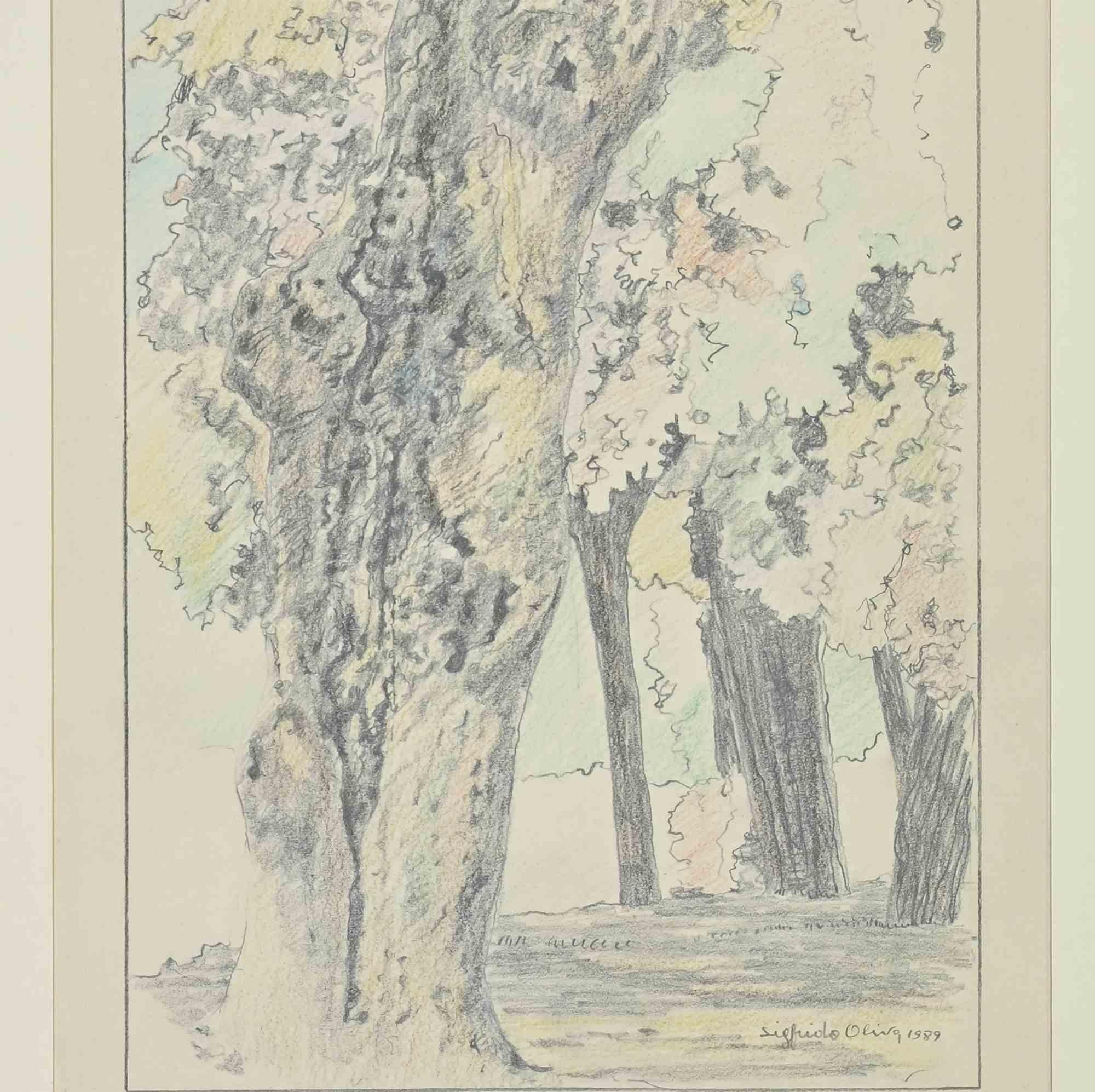 In the Wood - Disegno di Sigfrido Oliva - 1989 in vendita 2