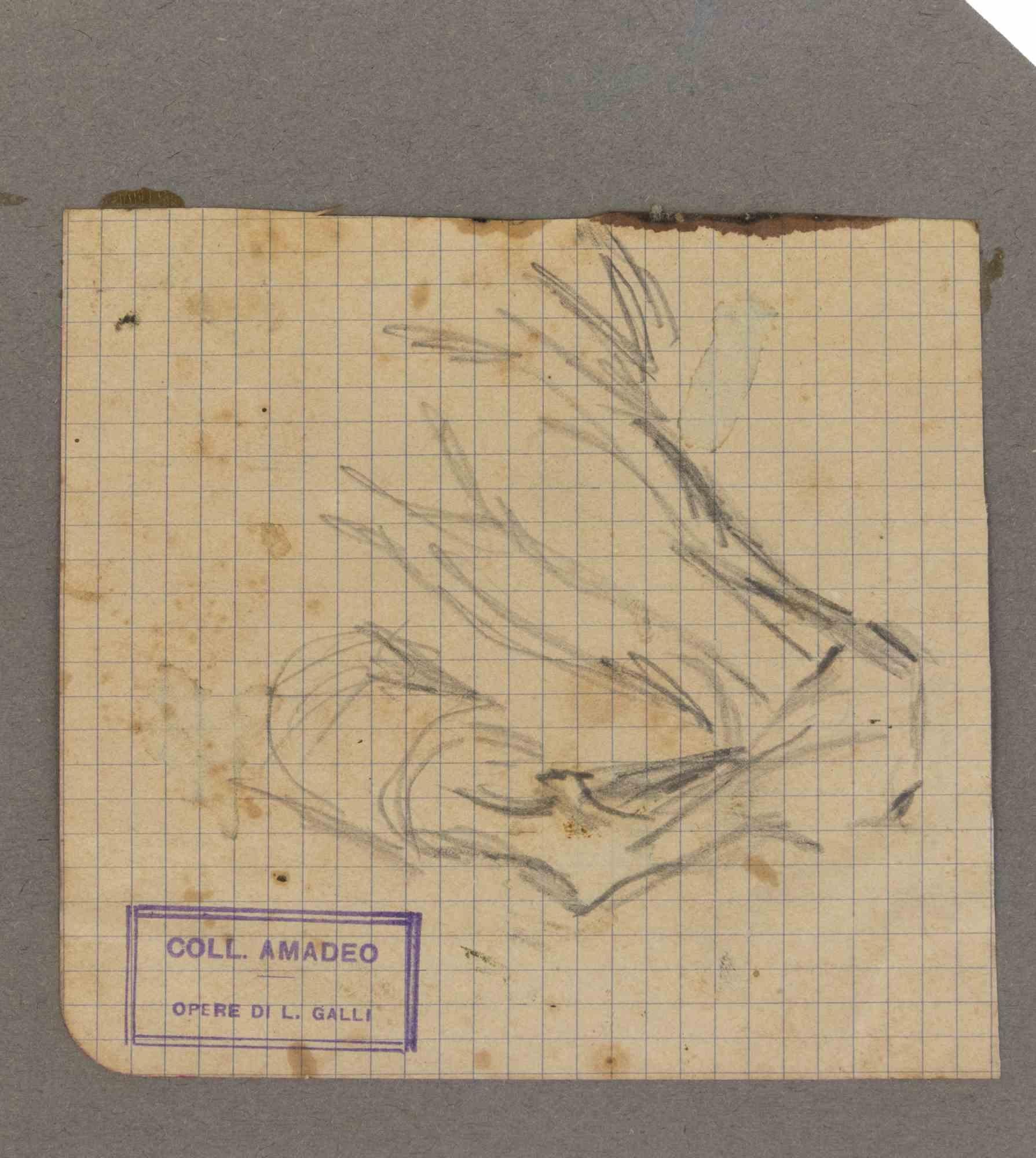 The Sketch  - Drawing by Luigi Galli - Late 19th Century