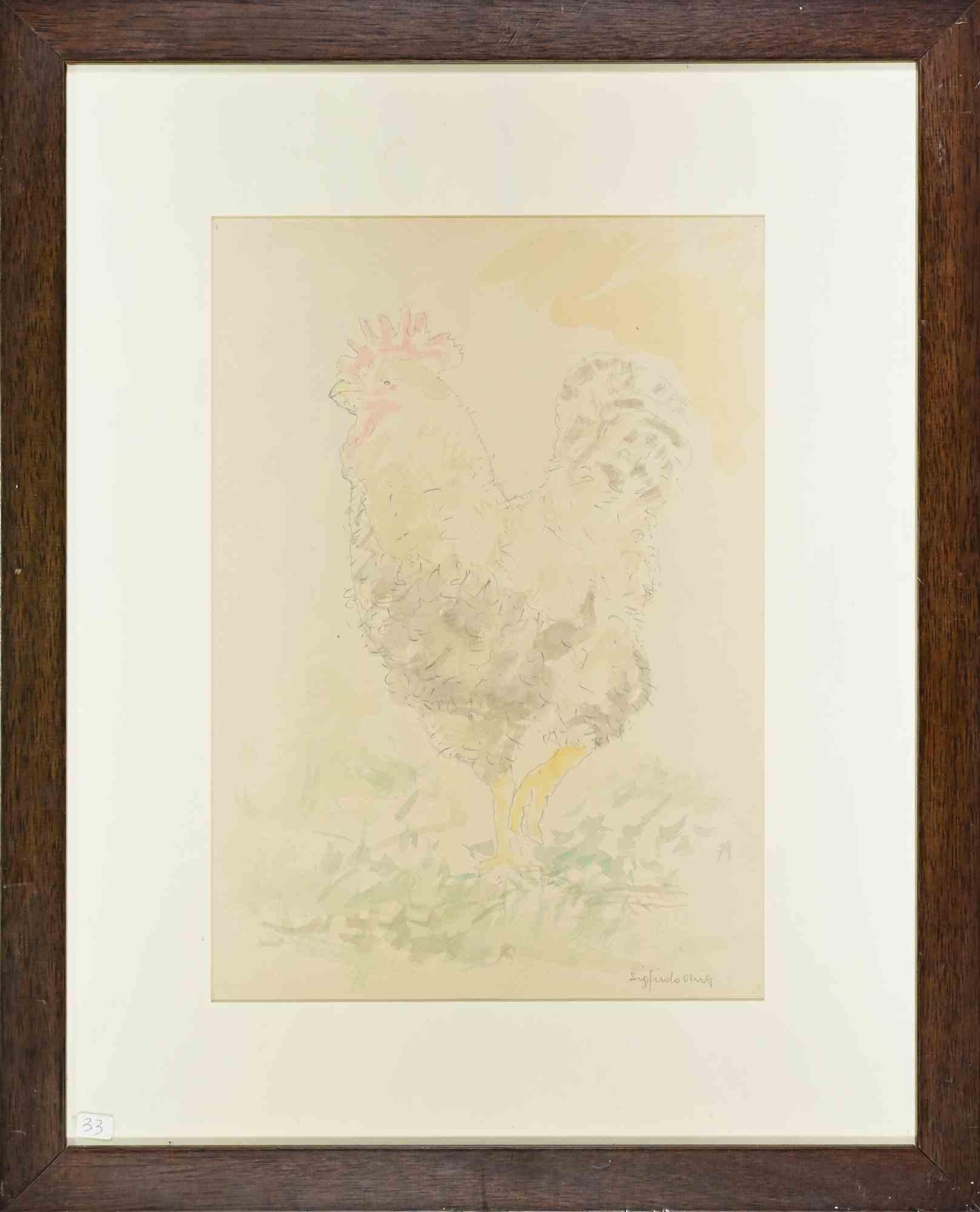 Rooster - Drawing by Sigfrido Oliva - 1990s