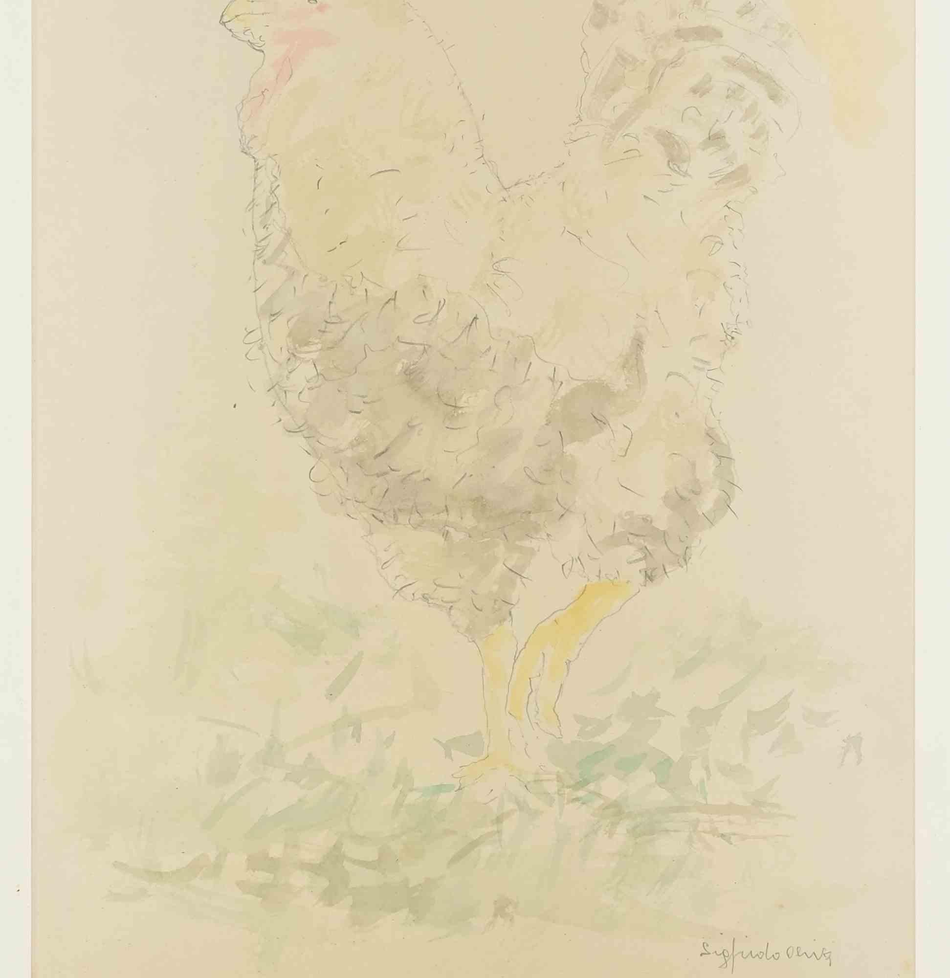 Gallo - Dibujo de Sigfrido Oliva - Años 90 en venta 1