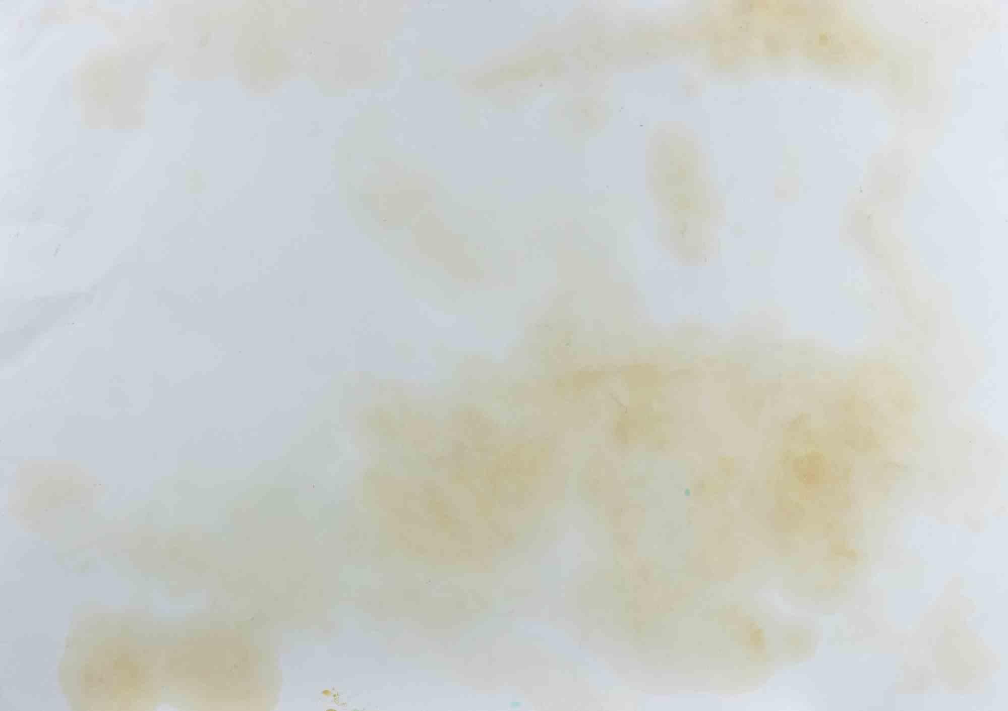 Still Life - Paint by Sandro Trotti - 1970s For Sale 2