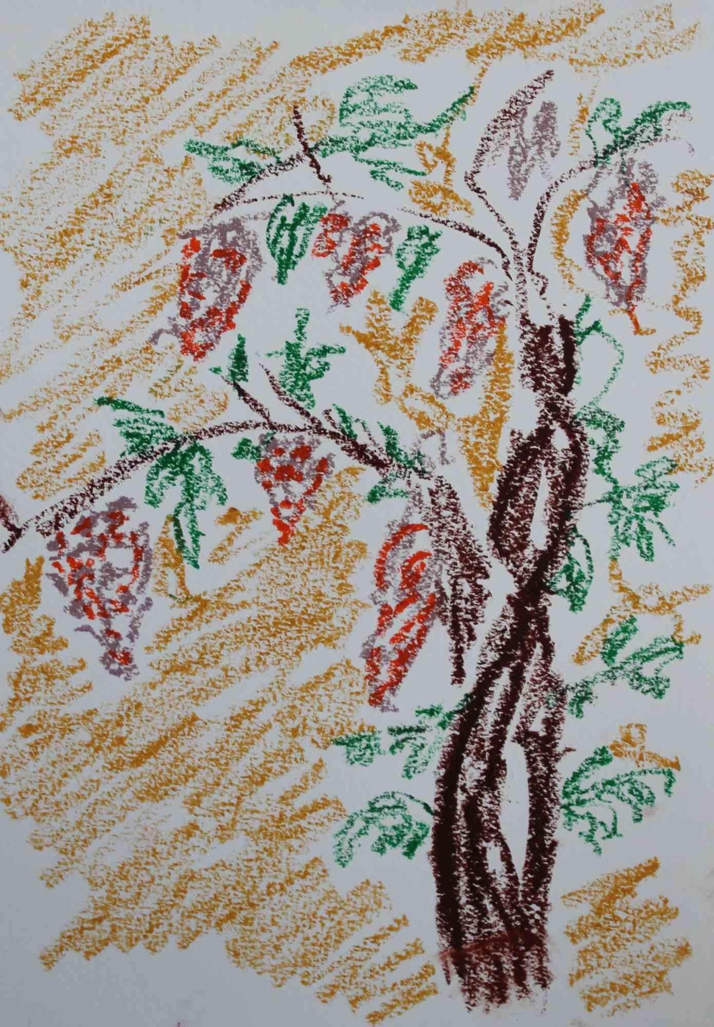 Glicine - Disegno di Alfredo Pizzi - 2025