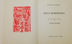 MetaMorphoses - Rare Book Illustrated by Andre Masson - 1975