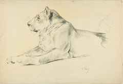 Bundle Lions