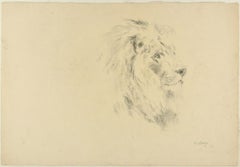 Bundle Lions