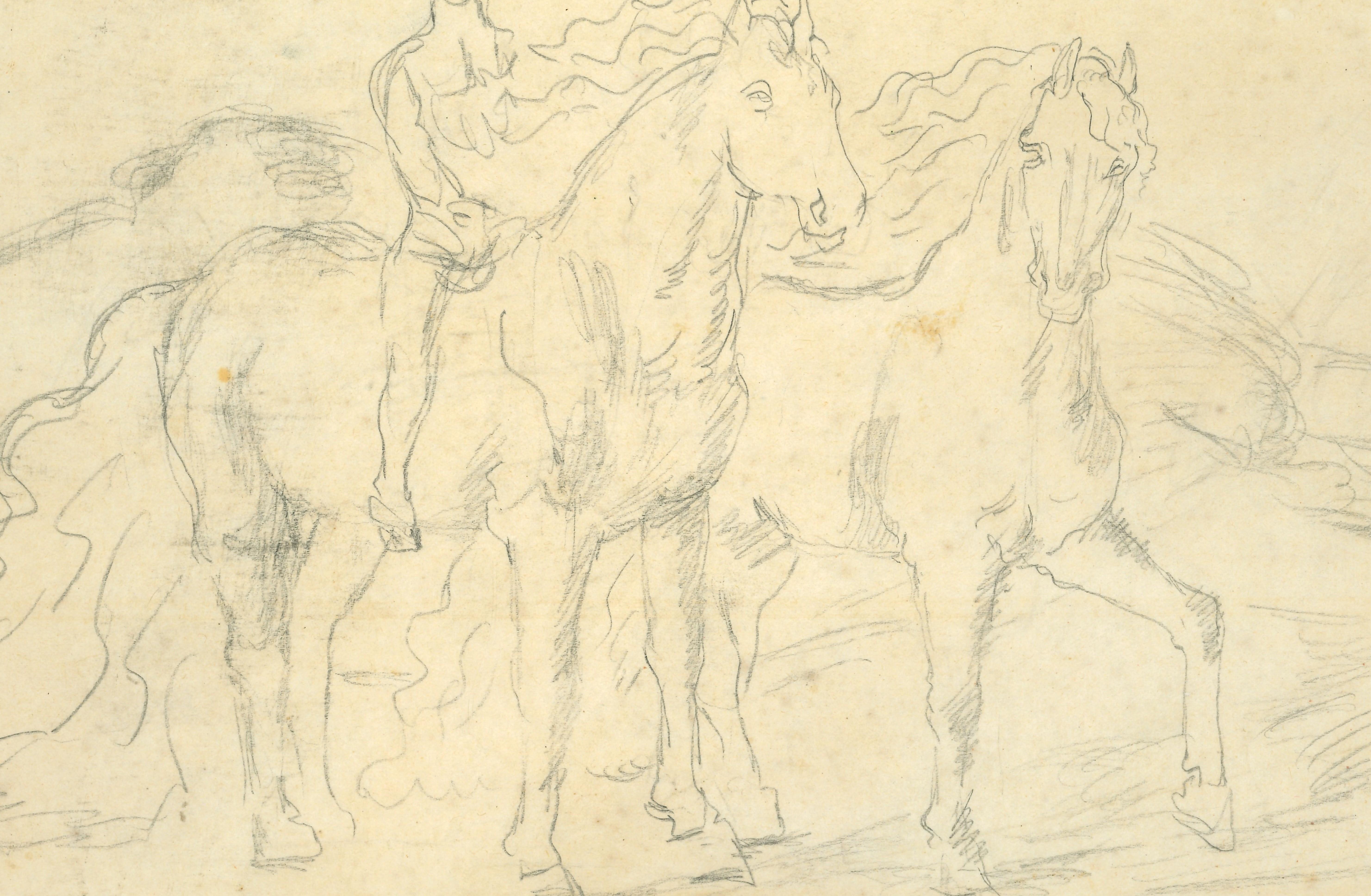 Sketch for The Horses - Original Pencil Drawing - Art de Giorgio De Chirico