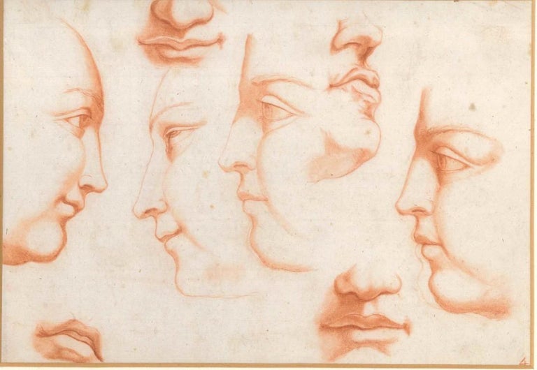 <i>Anatomic study of faces</i>, 18th century, by an unknown artist, offered by Wallector