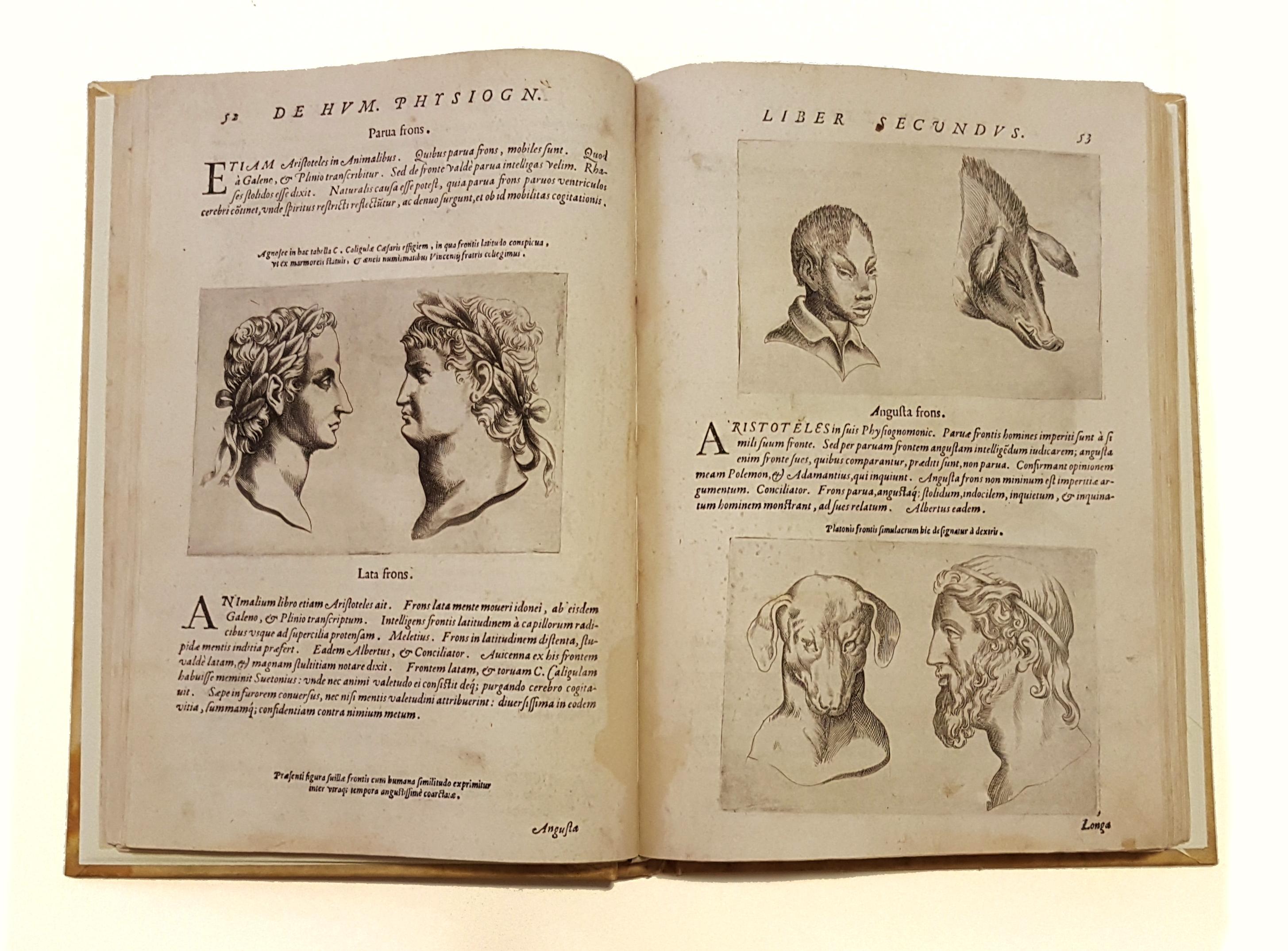 De Humana Physiognomonia - Old Masters Print by Giovan Battista Della Porta