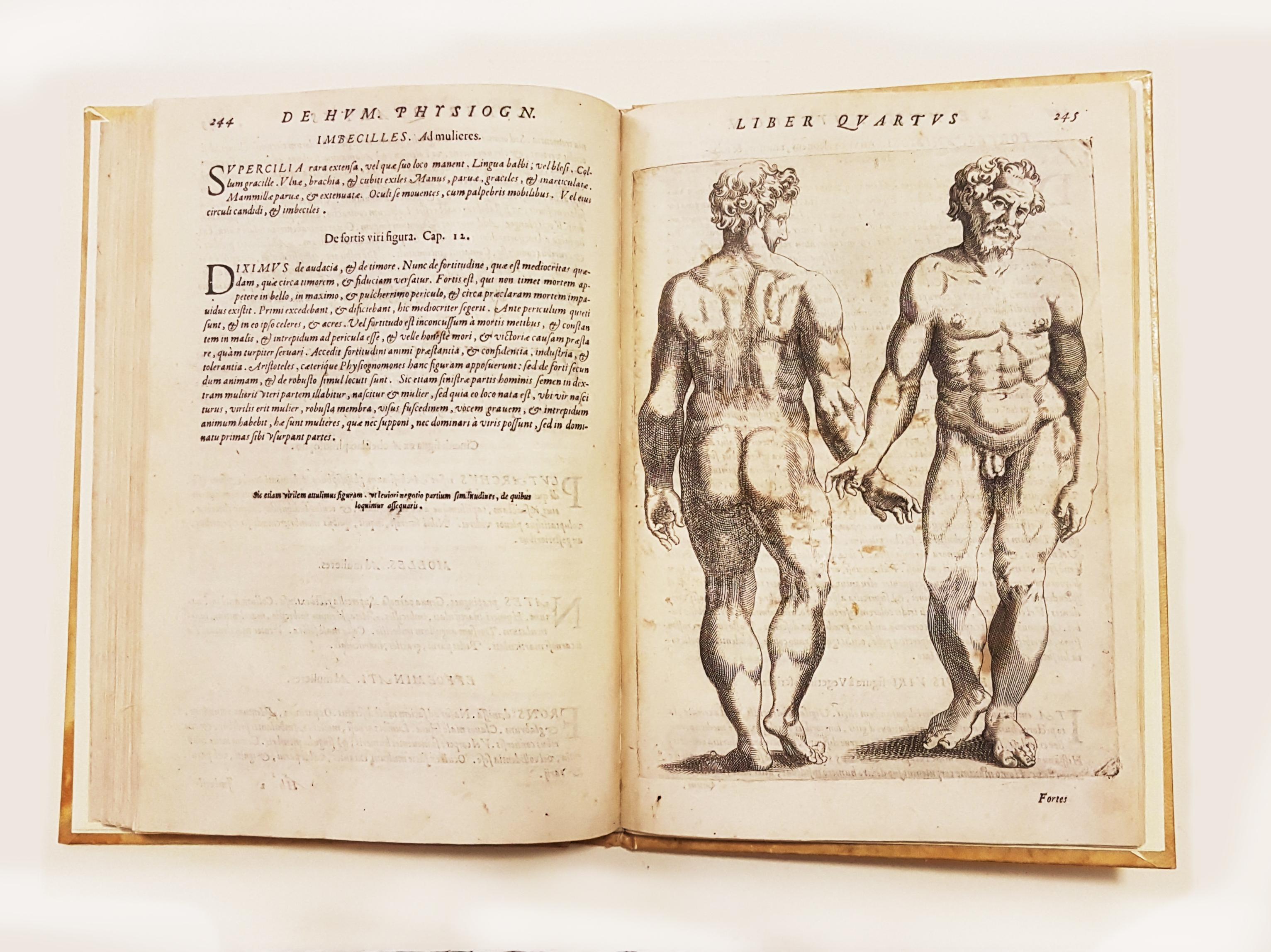 De Humana Physiognomonia - Beige Figurative Print by Giovan Battista Della Porta