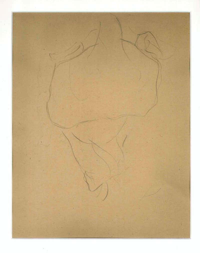 Ernest Rouart The Sparrow Original Pencil Drawing by Ernest Rouart