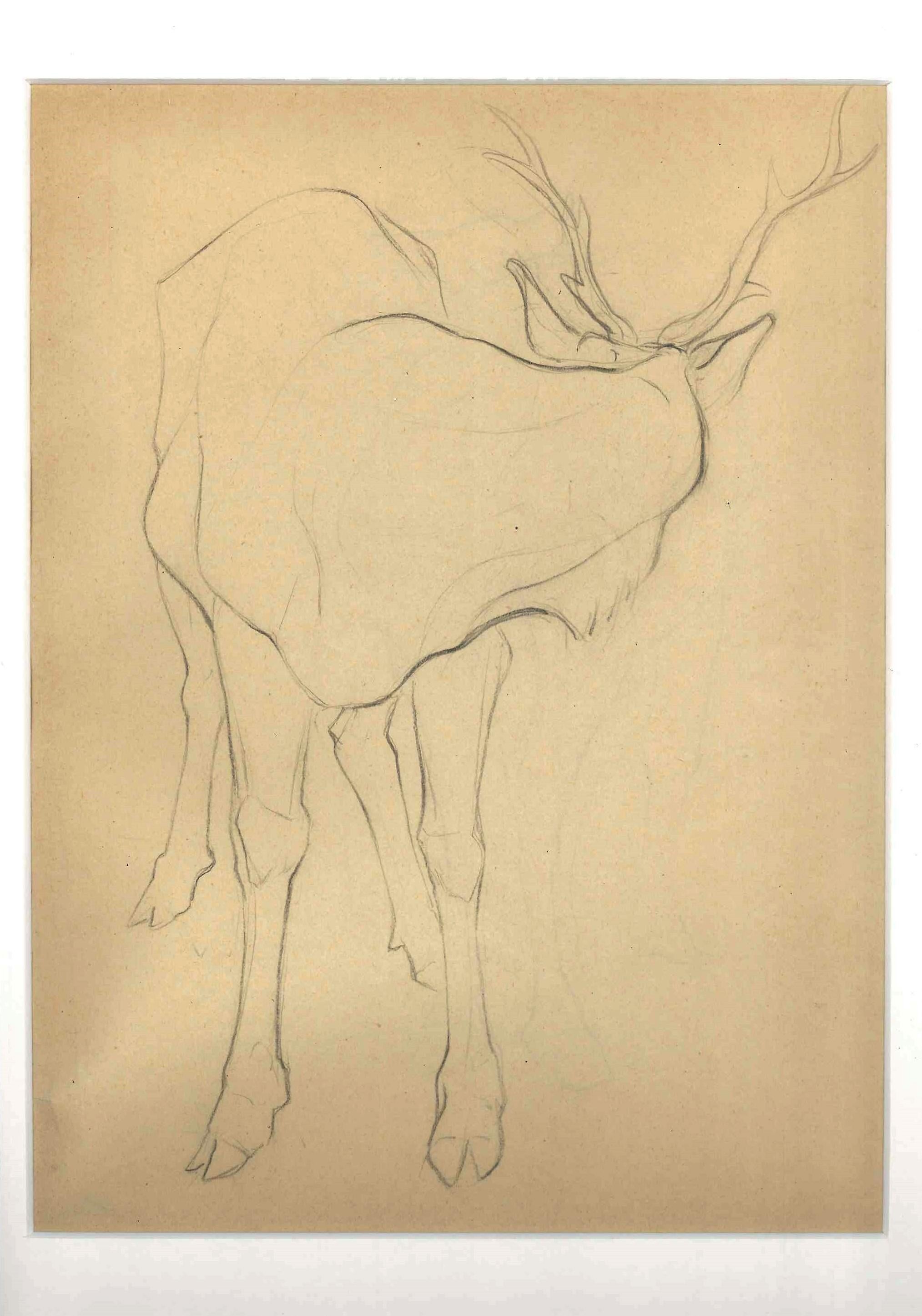 Ernest Rouart Animal Art - Deer from behind & Deer From Behind