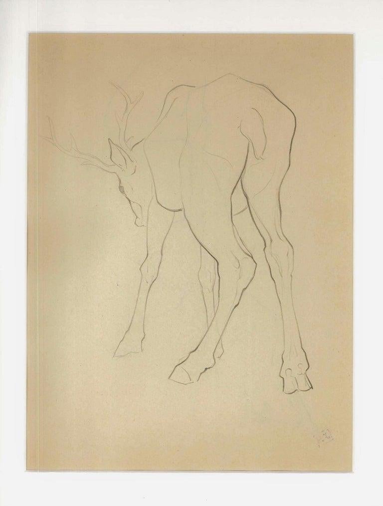 Deer from behind & Deer From Behind - Art by Ernest Rouart