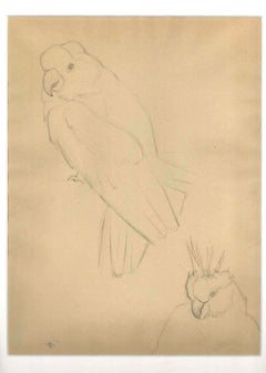 Parrots - Original Pencil Drawing by Ernest Rouart