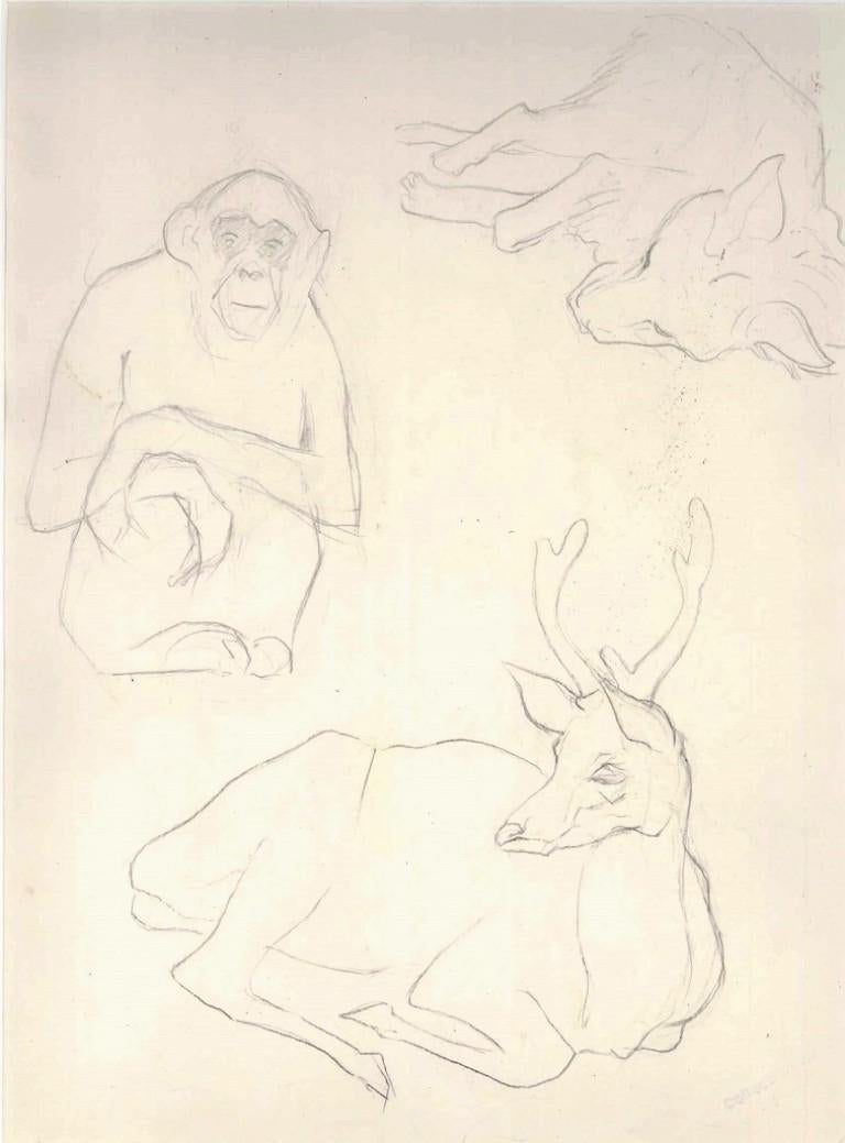 Animal Sketches is an original artwork realized by the French artist Ernest Rouart in the first half of the XX Century. Pencil on paper. Passepartout included (cm 49 x 34). Very good conditions. 

The artwork presents three different sketches
