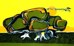 Schildkrötenpanzer – Originallithographie von Carlo Quattrucci – 1971