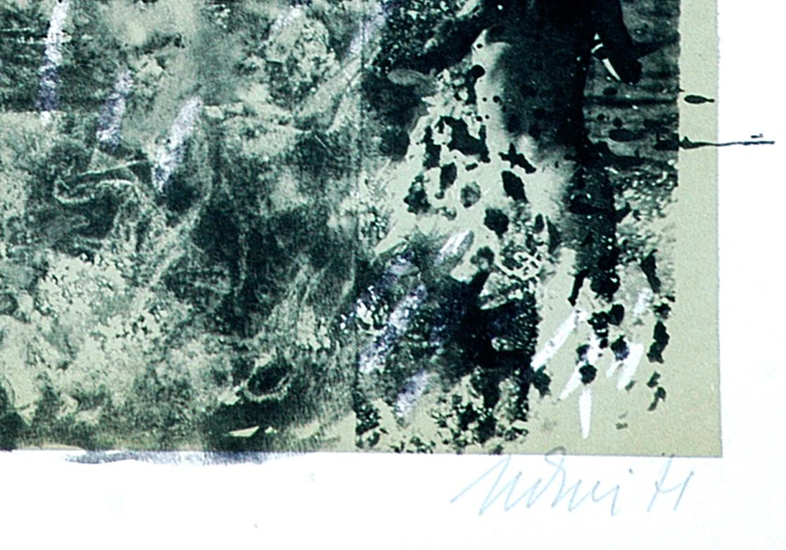 La meccanica della mosca - Litografia originale di Nani Tedeschi - 1971 in vendita 3