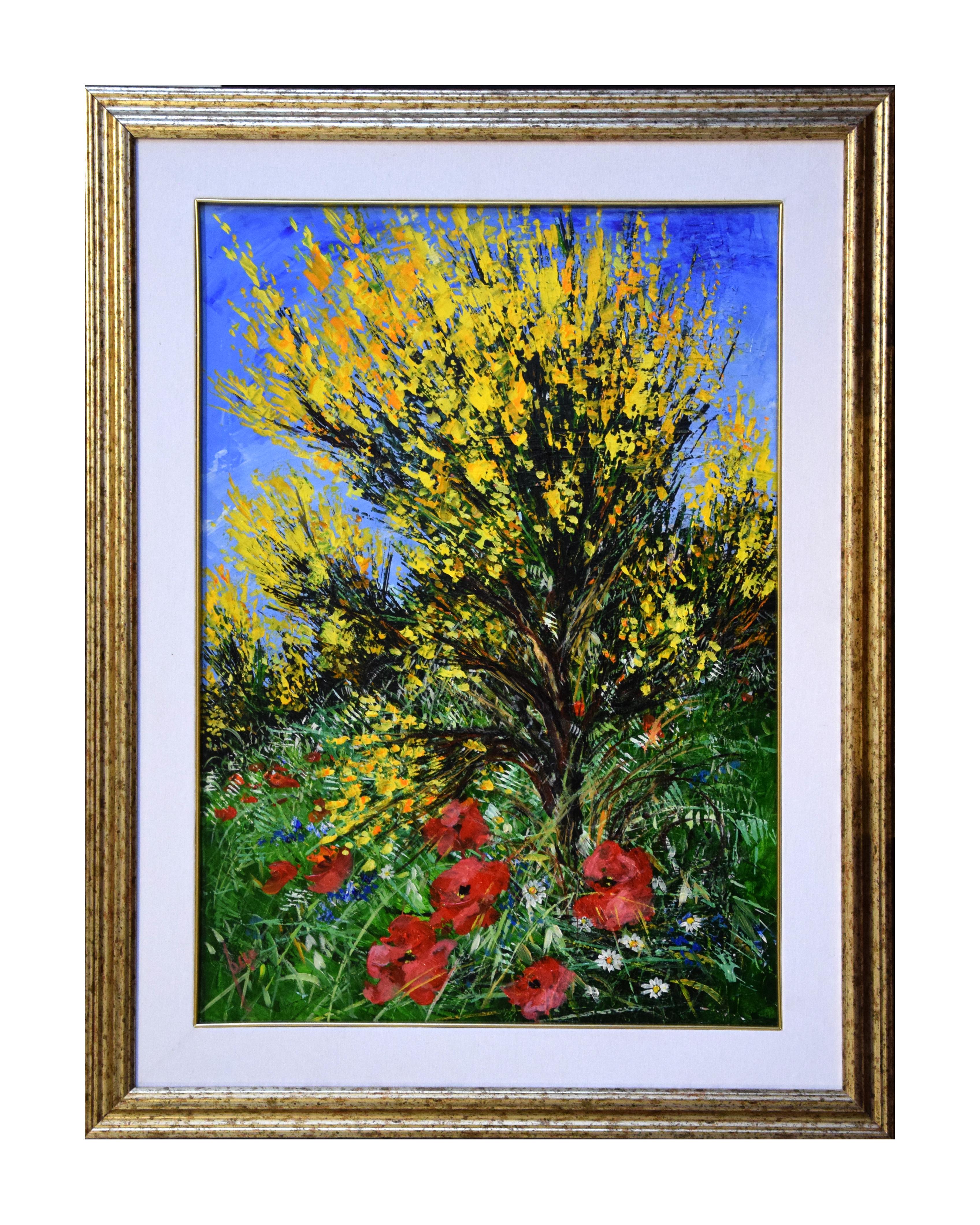 Ginestre is a very colorful oil painting on canvas realized by the Italian contemporary artist Luciano Sacco.

Including a frame (87.5 x 68 cm). Hand-signed by the artist on the lower left.

This beautiful oil painting represents yellow brooms in