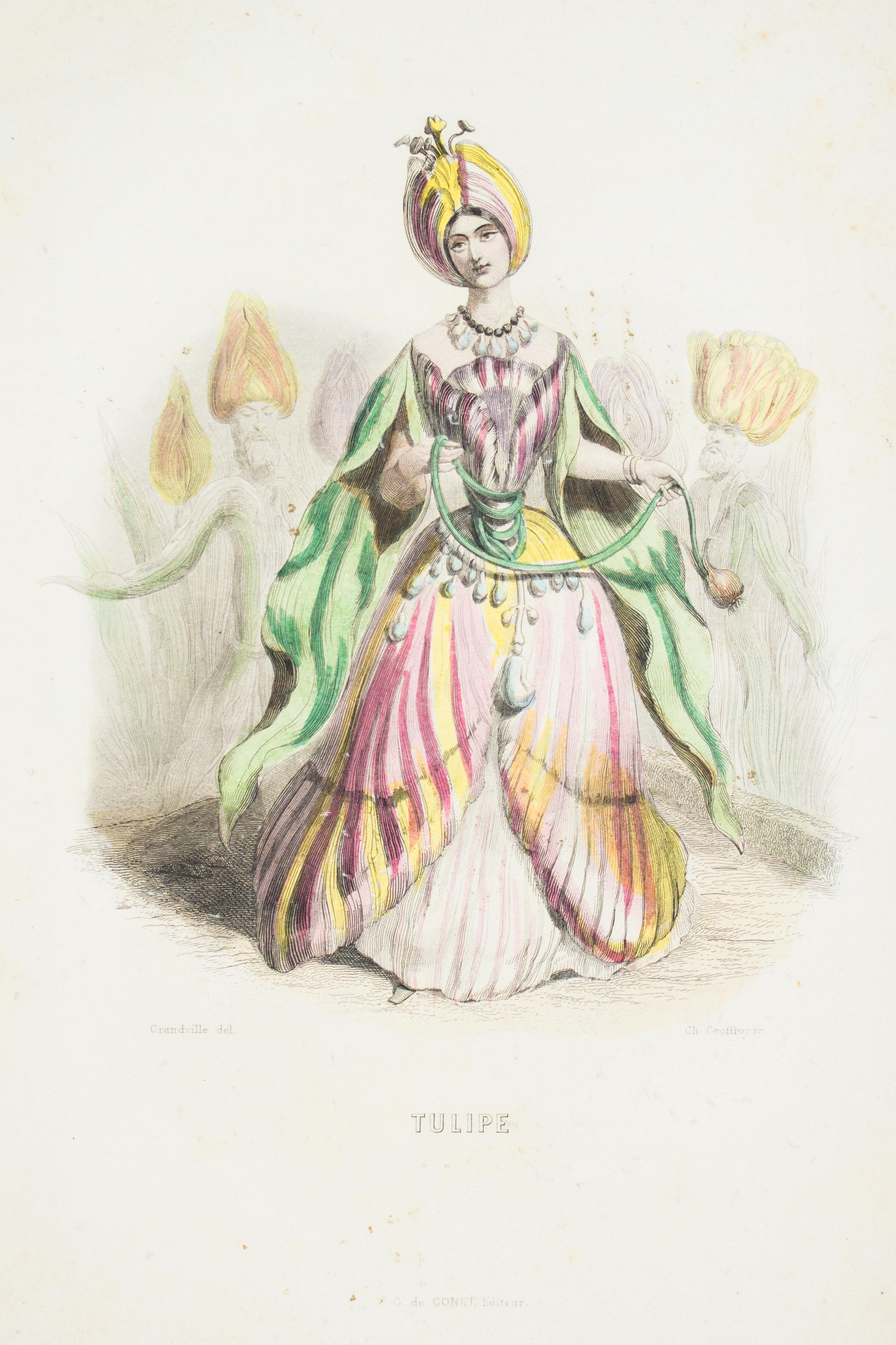 Original edition of the most popular illustrated book of the most import important French illustrator of XIX century.
It includes, in the 2 volumes, 2 (1+1) hand-coloured frontispieces, 50 (28+22) hand-coloured plates, and 2 b/w plates.
Publisher’s