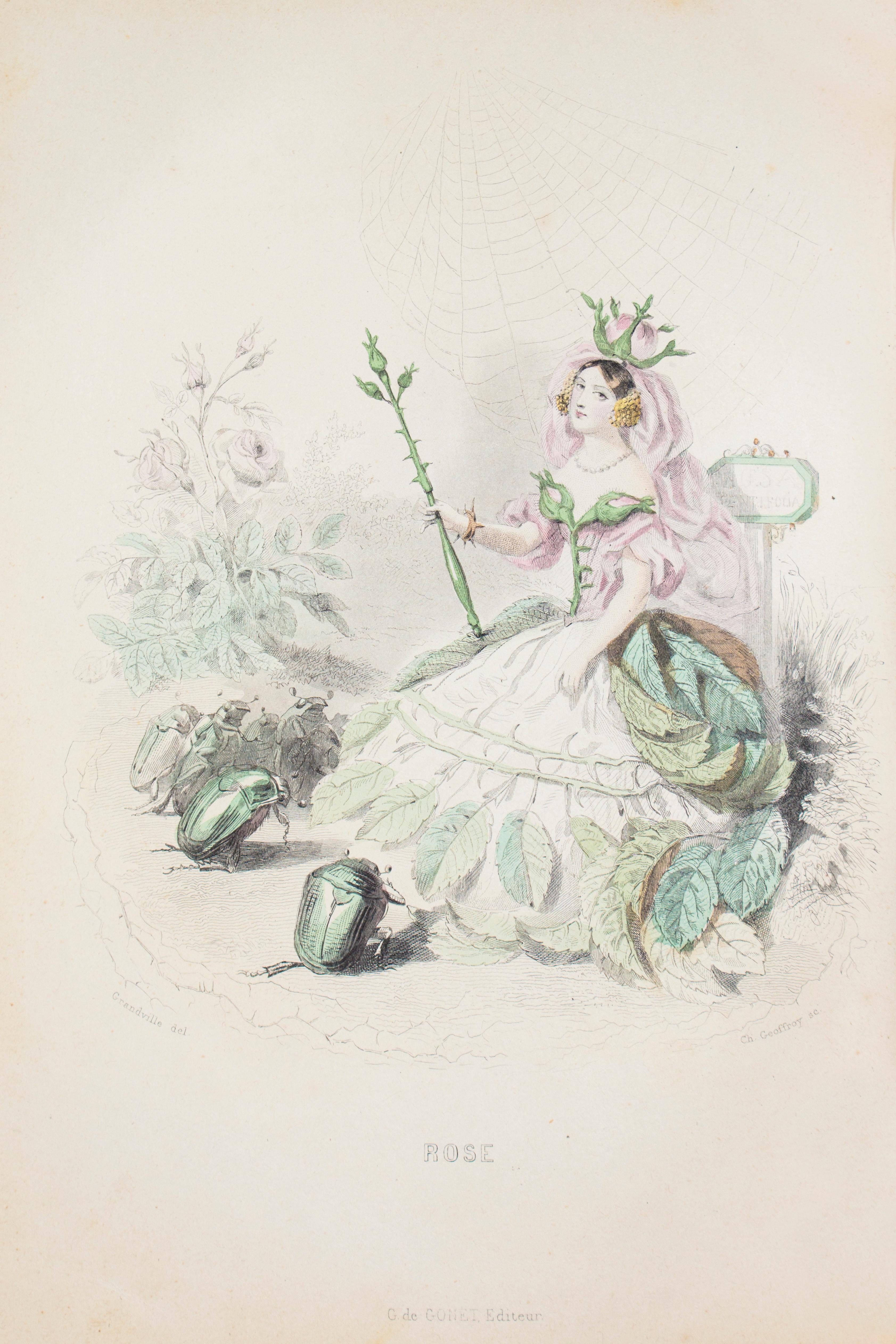 Les Fleurs Animées - Original Edition Illustrated by J.J. Grandville - 1847 1
