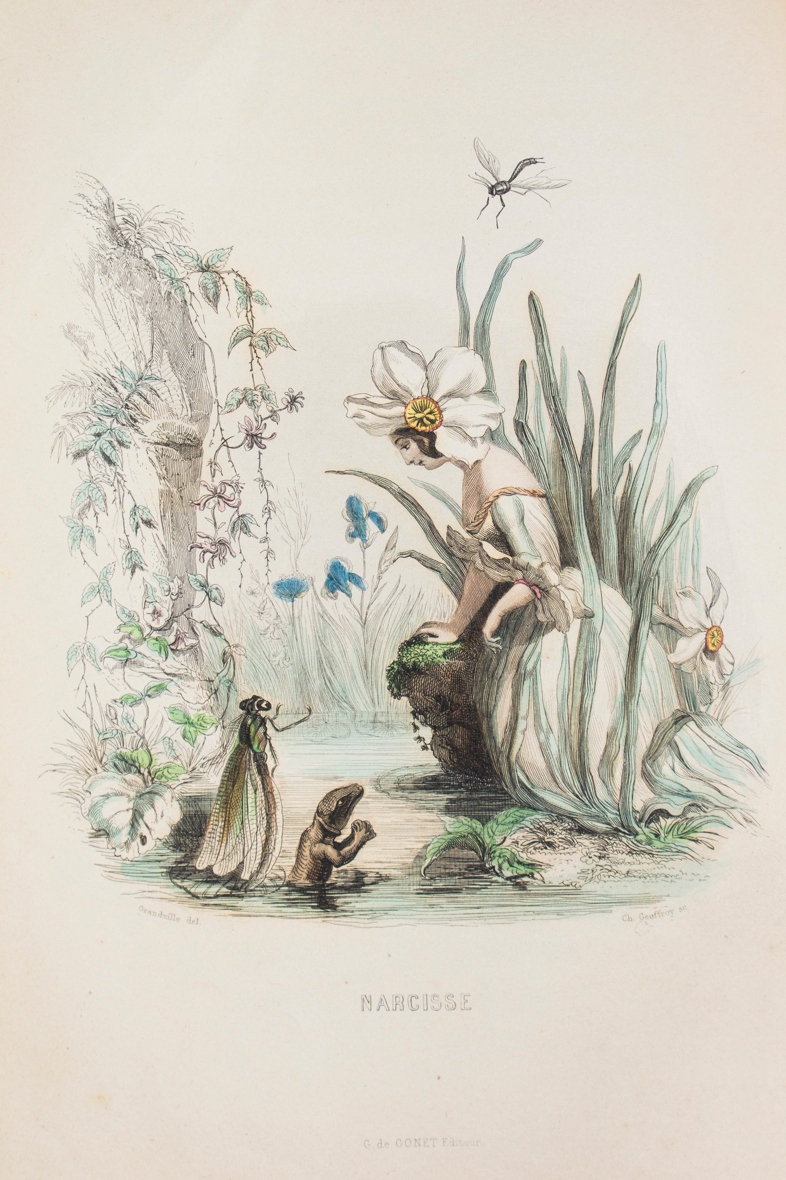 Les Fleurs Animées - Original Edition Illustrated by J.J. Grandville - 1847 2
