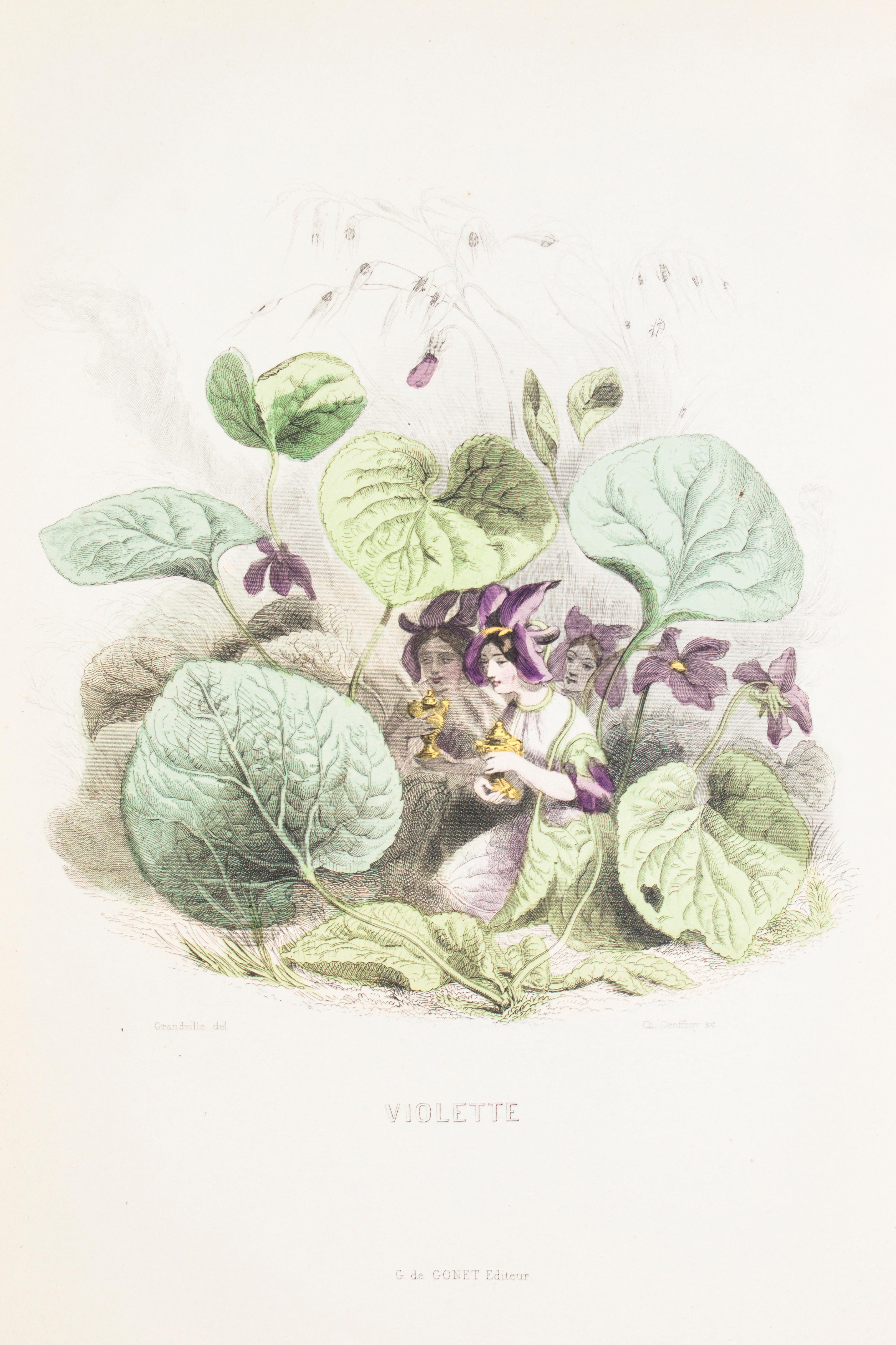 Les Fleurs Animées - Original Edition Illustrated by J.J. Grandville - 1847 3
