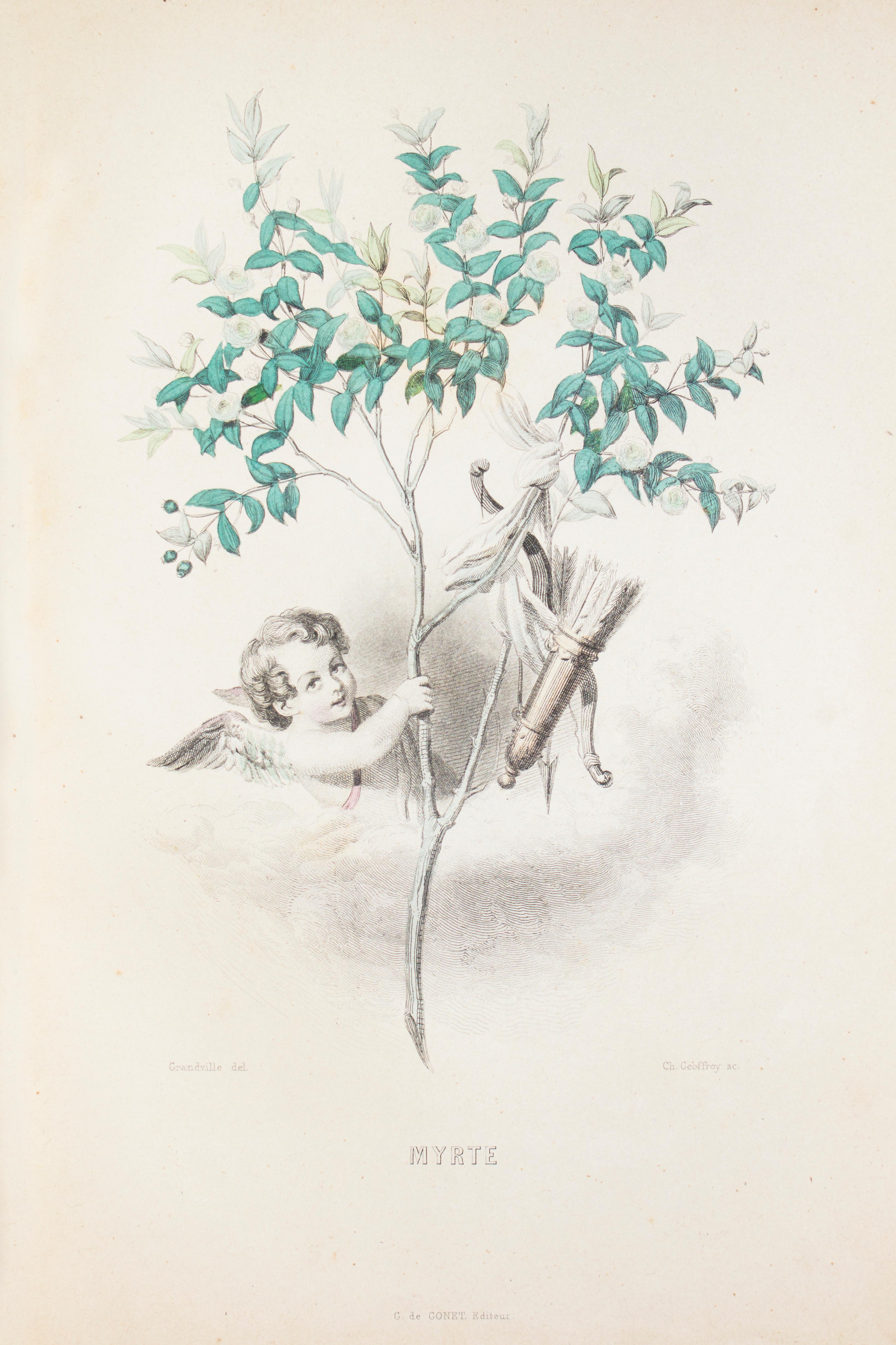 Les Fleurs Animées - Original Edition Illustrated by J.J. Grandville - 1847 5