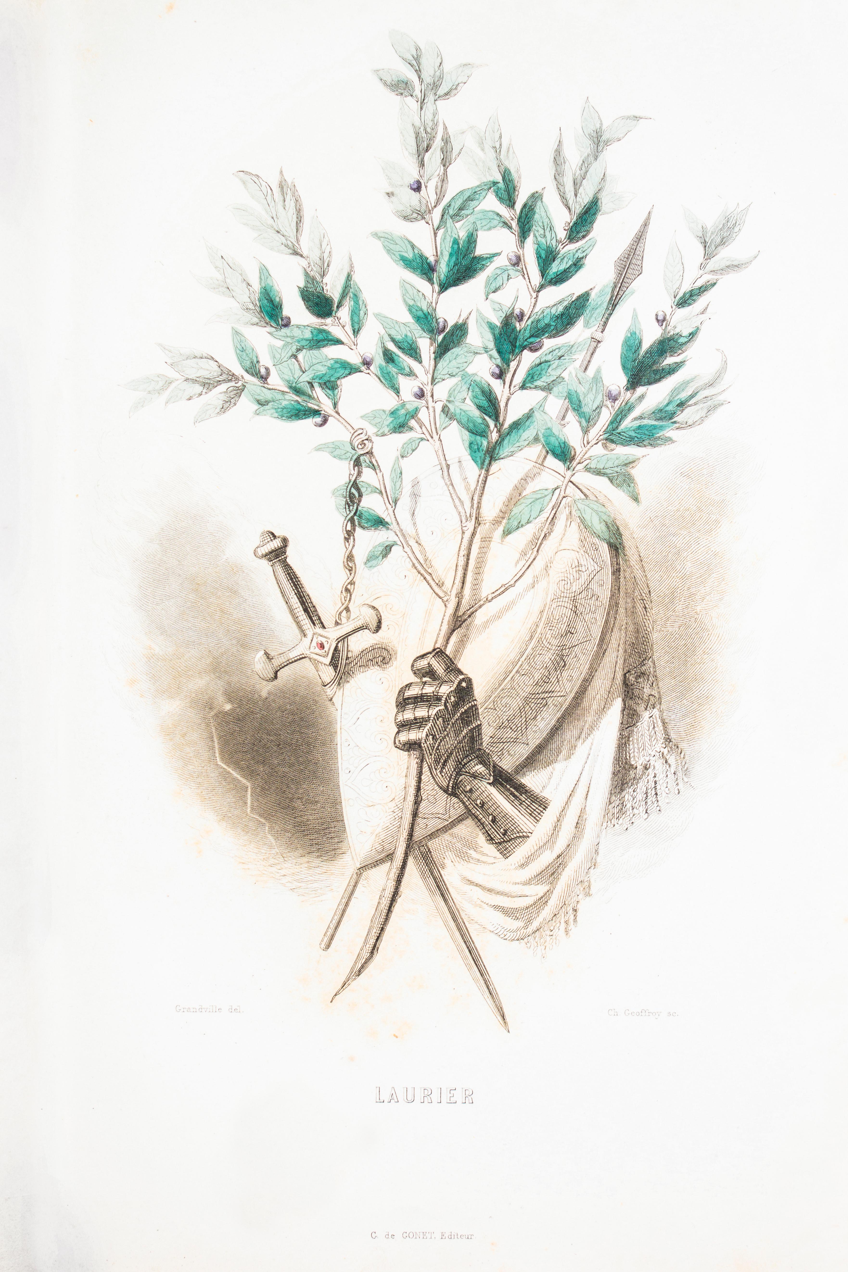 Les Fleurs Animées - Original Edition Illustrated by J.J. Grandville - 1847 6