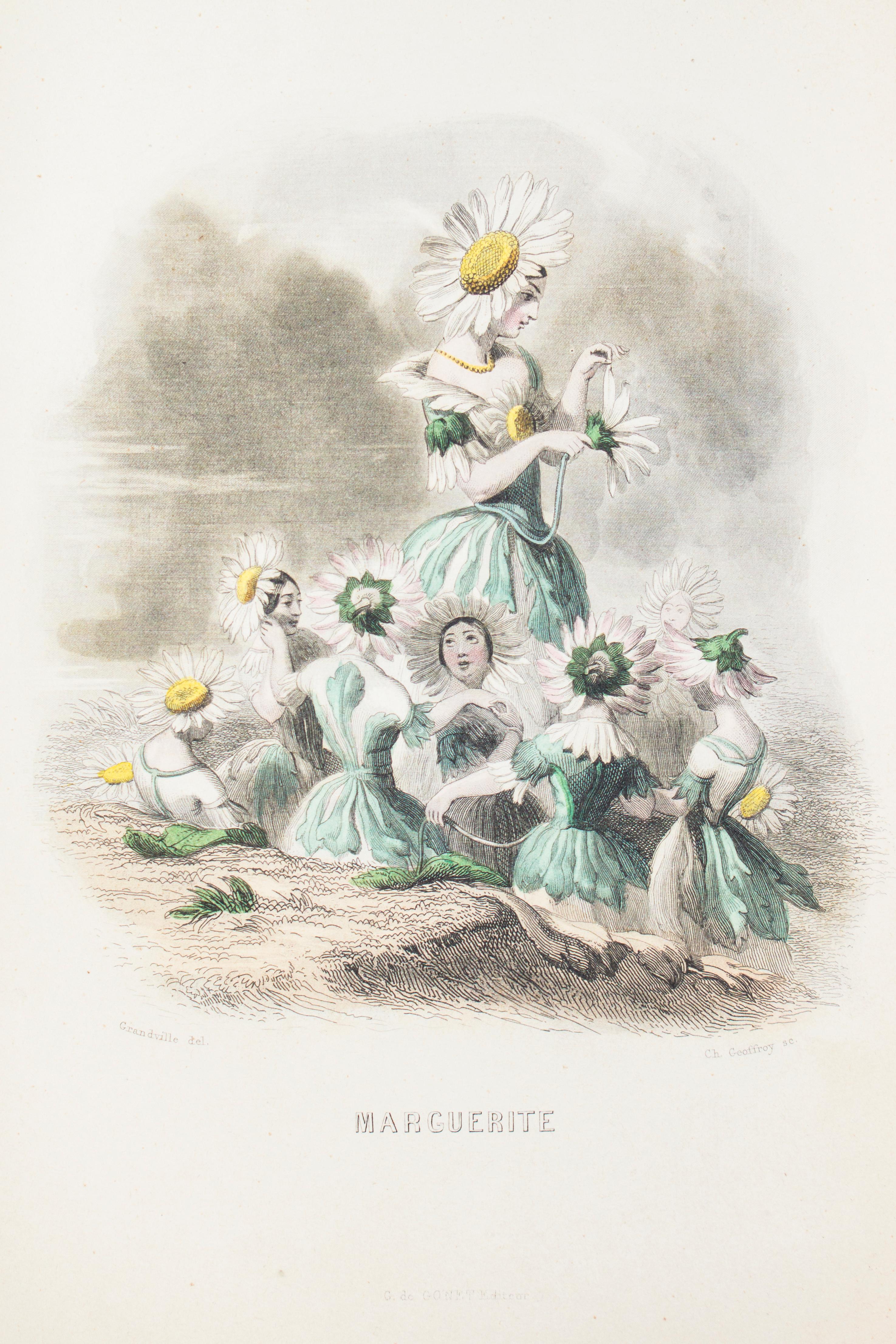 Les Fleurs Animées - Original Edition Illustrated by J.J. Grandville - 1847 7