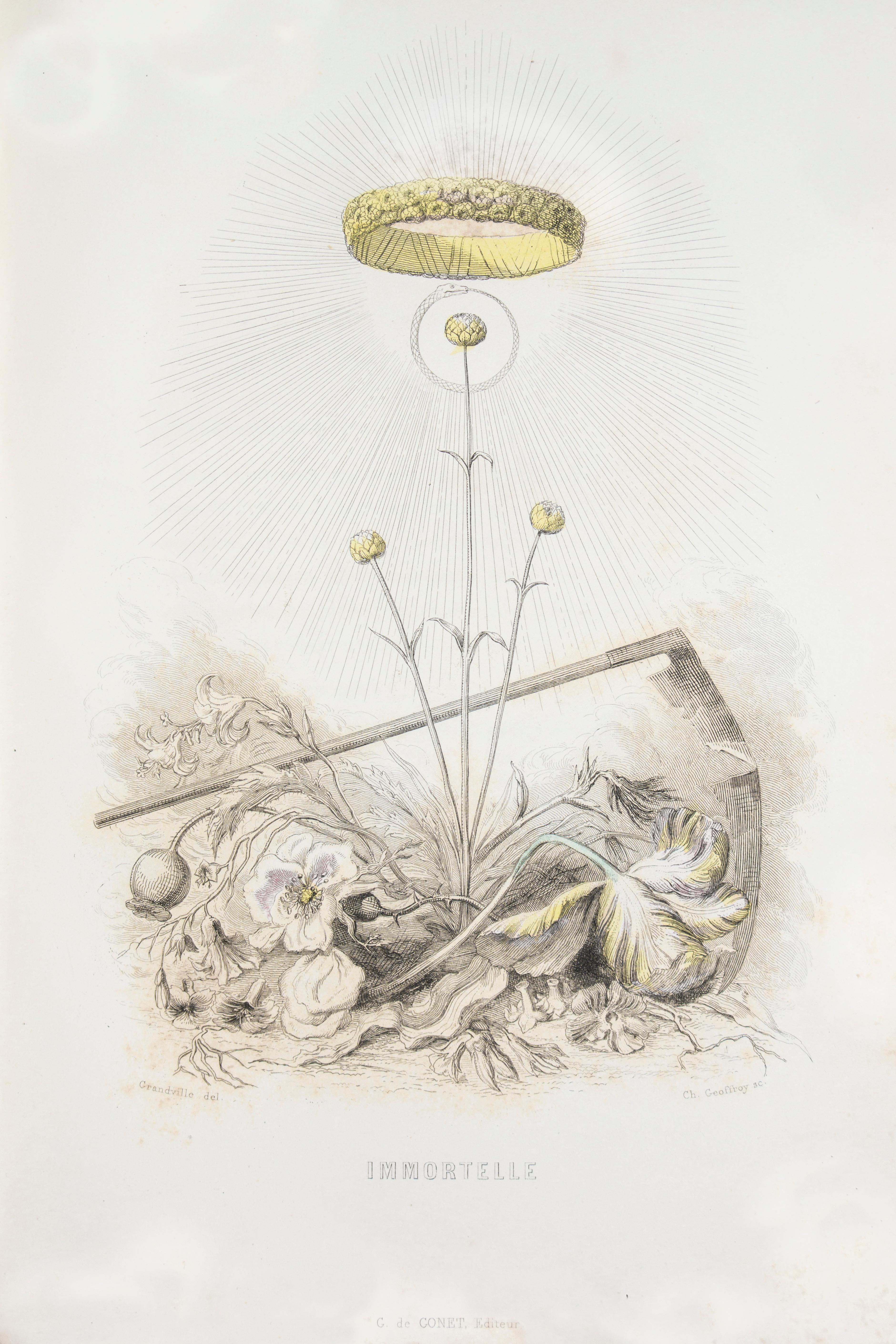 Les Fleurs Animées - Original Edition Illustrated by J.J. Grandville - 1847 9