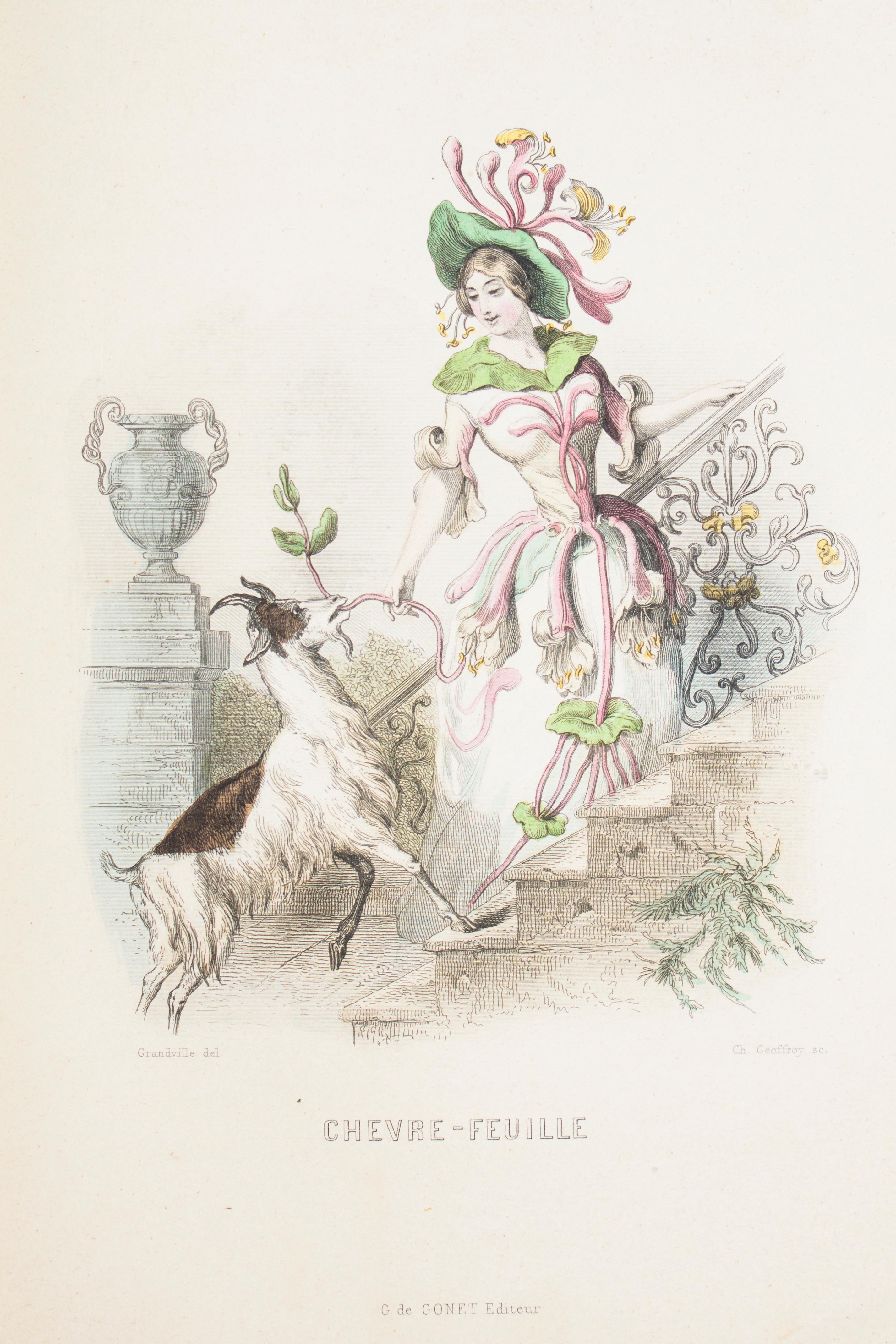 Les Fleurs Animées - Original Edition Illustrated by J.J. Grandville - 1847 10