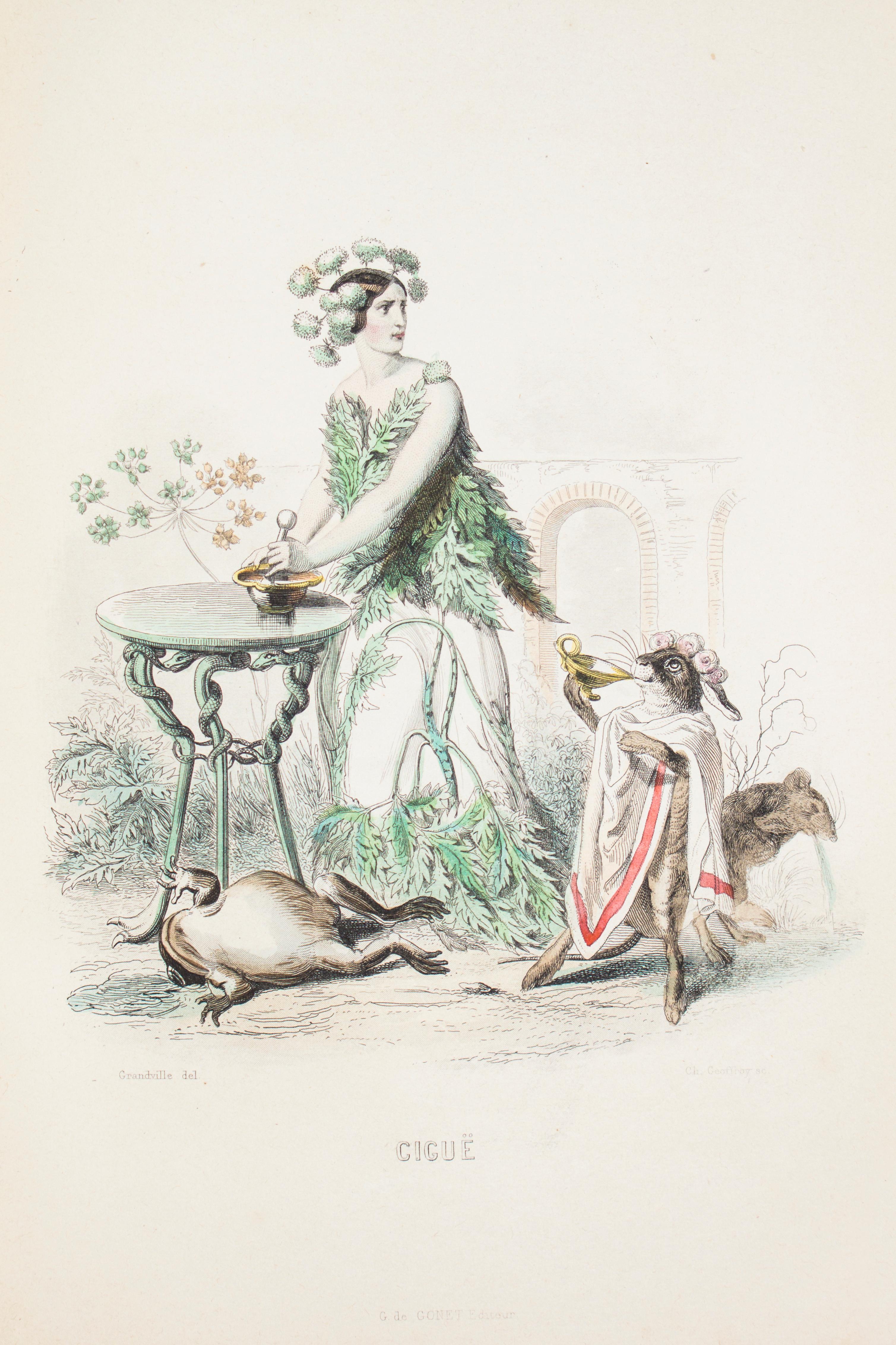 Les Fleurs Animées - Original Edition Illustrated by J.J. Grandville - 1847 13