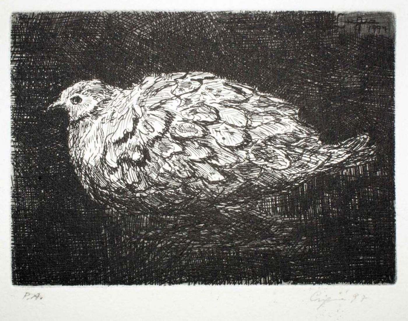 Renato Brozzi Animal Print - Dove - Etching by Valerio Cugia - 1997