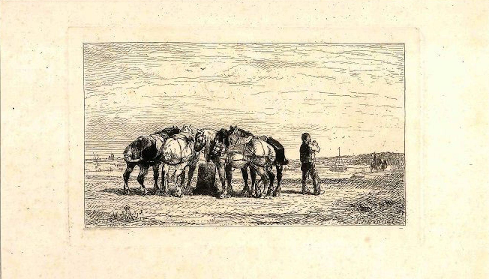 Jules Jacques Veyrassat Figurative Print - Horses in the Landscape - Original Etching by J.J. Veyrassat - Late 19th Century