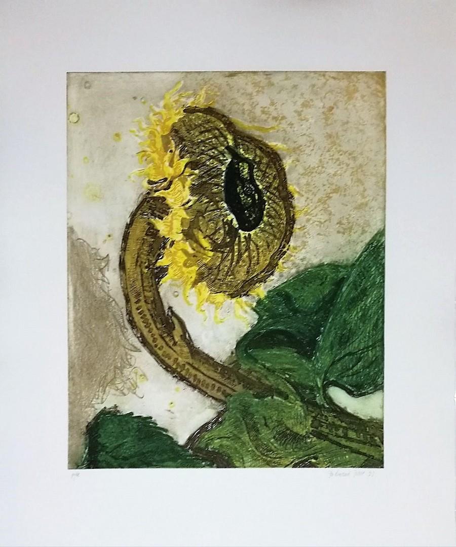 Ferdinand Oscar Finne Figurative Print - Sunflower  - 1993 - Ferdinand Finne - Aquatint - Contemporary