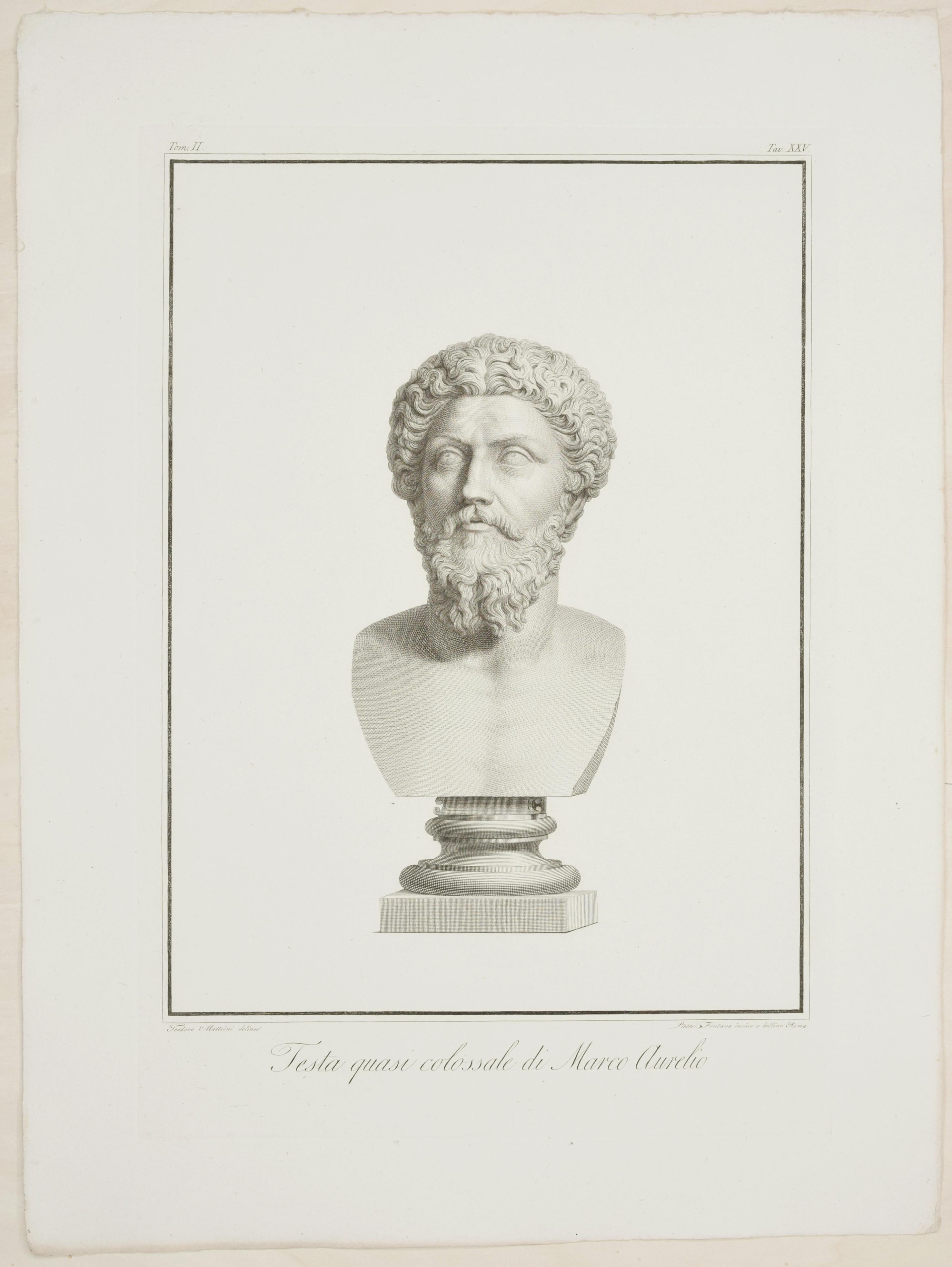 Francesco Cecchini Figurative Print - Testa Quasi Colossale di Marco Aurelio - Etching by P. Fontana