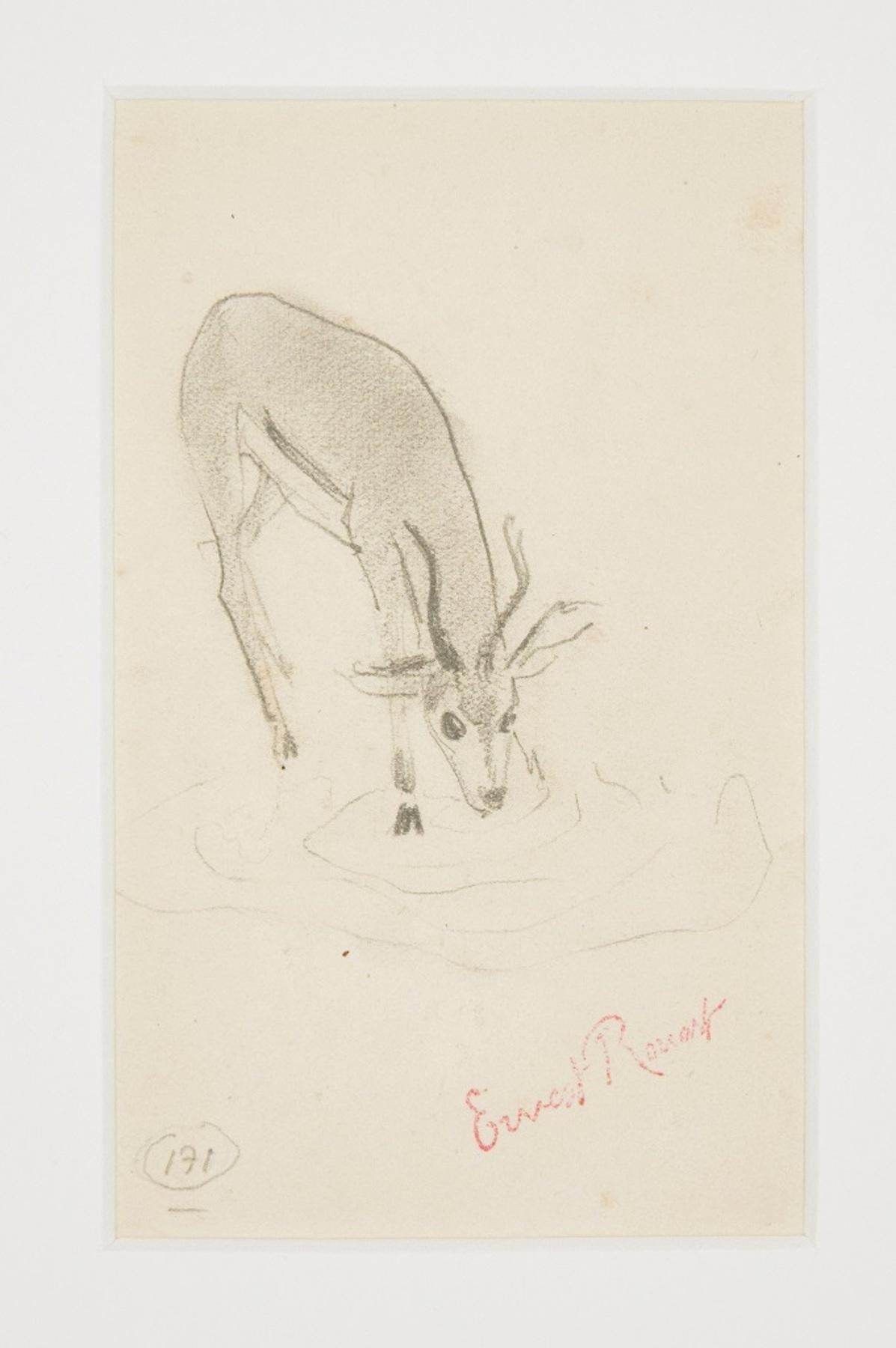 Fawn is an original pencil drawing on paper realized by Ernest Rouart between the end of the XIX and the beginning of the XX century.

This drawing is hand-signed by the artist in red pen on the lower left. Including a white cardboard passepartout: