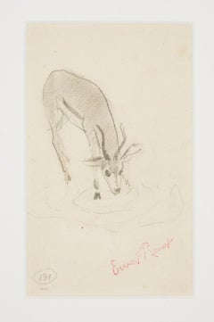 Fawn - Original Drawing by Ernest Rouart - 1890s