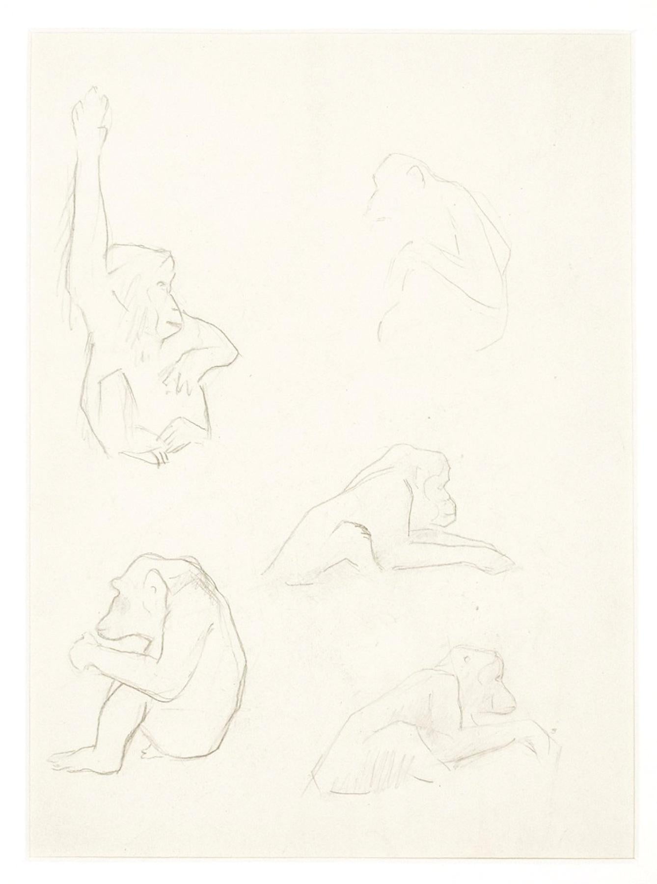 Monkeys ist eine Original-Bleistiftzeichnung auf Papier von einem anonymen Künstler im XX Jahrhundert realisiert.

Einschließlich eines Passepartouts aus weißem Karton: 49 x 34 cm.

Guter Zustand, abgesehen von einer leichten Schattierung des