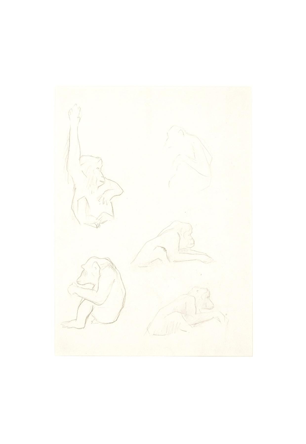 drawings of monkeys