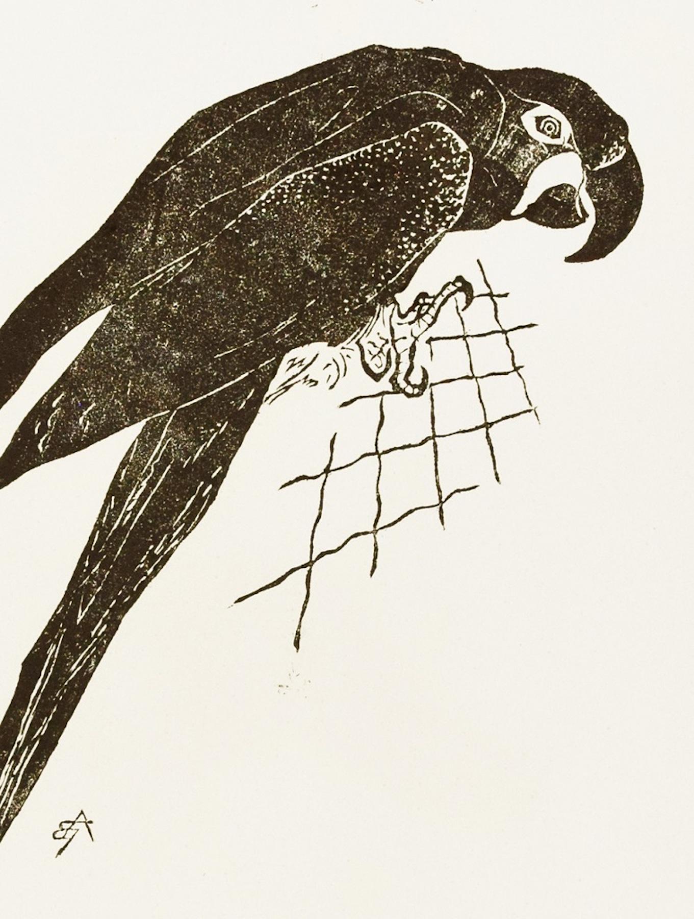 The Parrot - Original Woodcut by Unknown French Artist