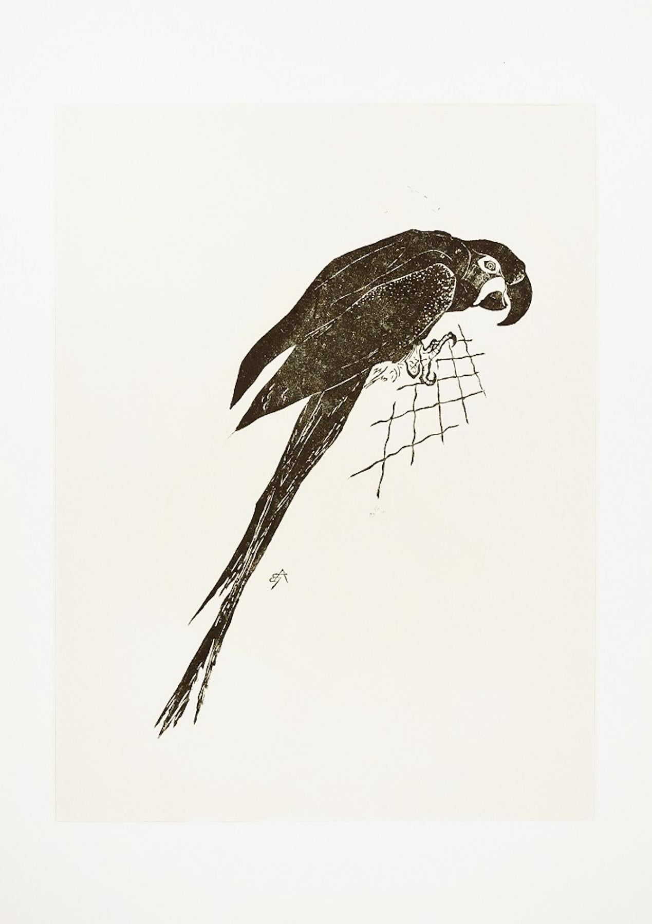 Le perroquet - gravure sur bois originale d'un artiste français inconnu - Print de Unknown