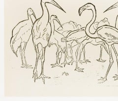 Storks and Flamingos - Original Woodcut by Unknown French Artist