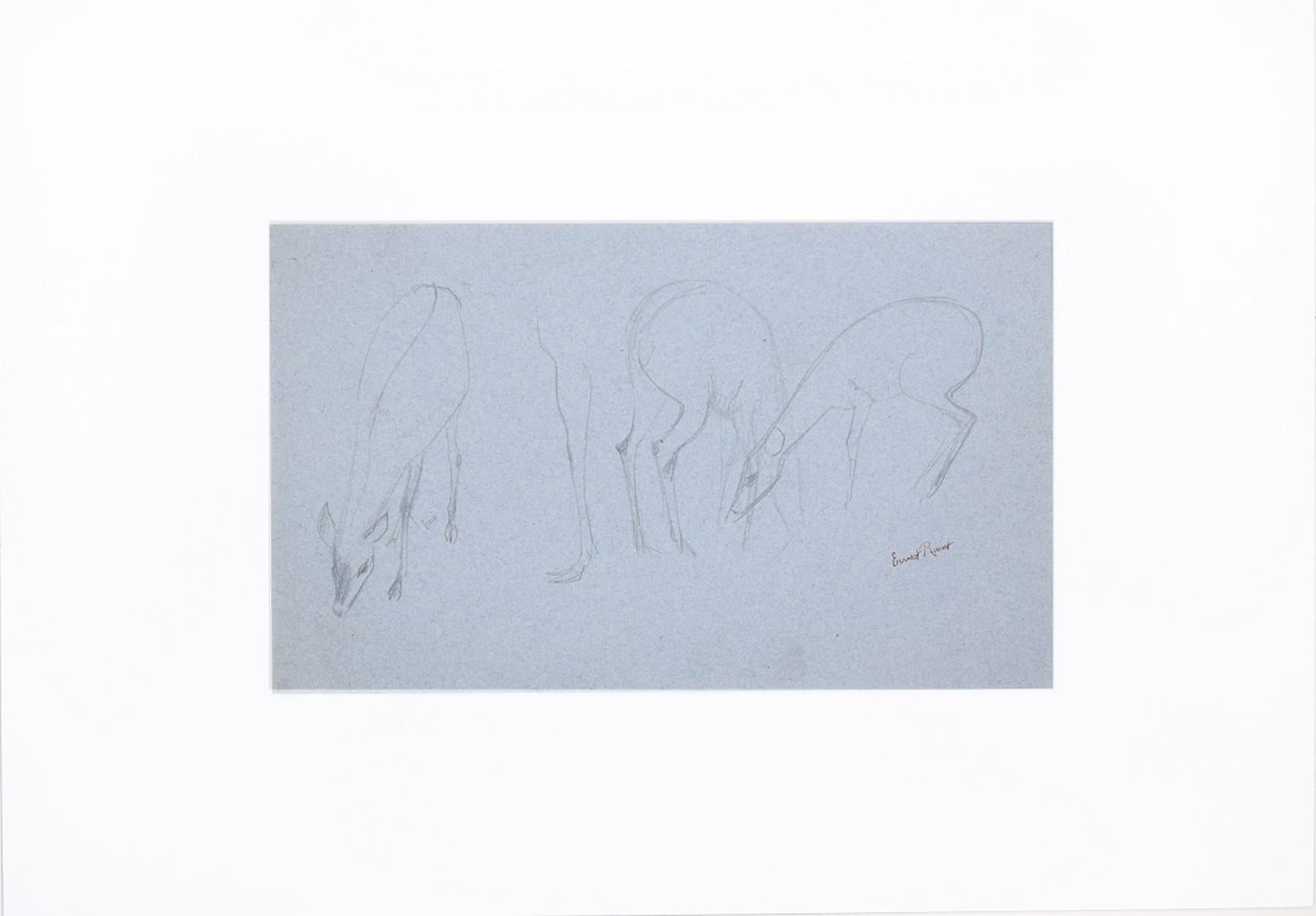 Fawns is an original pencil drawing on paper realized by Ernest Rouart between the end of the XIX and the beginning of the XX century.

This drawing is hand-signed by the artist in red pen on the lower left. Including a white cardboard passepartout: