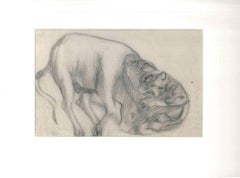 Antique The Feline and the Ox - Original Pencil Drawing by Ernest Rouart - Early 1900